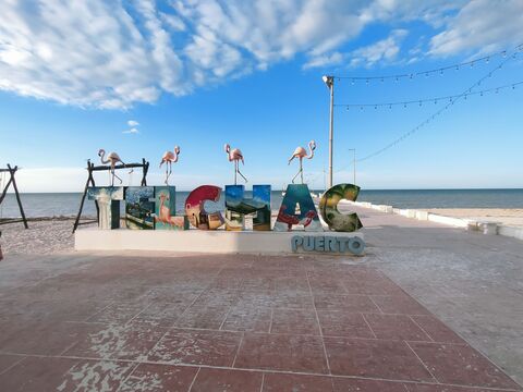 La Picuda image 8