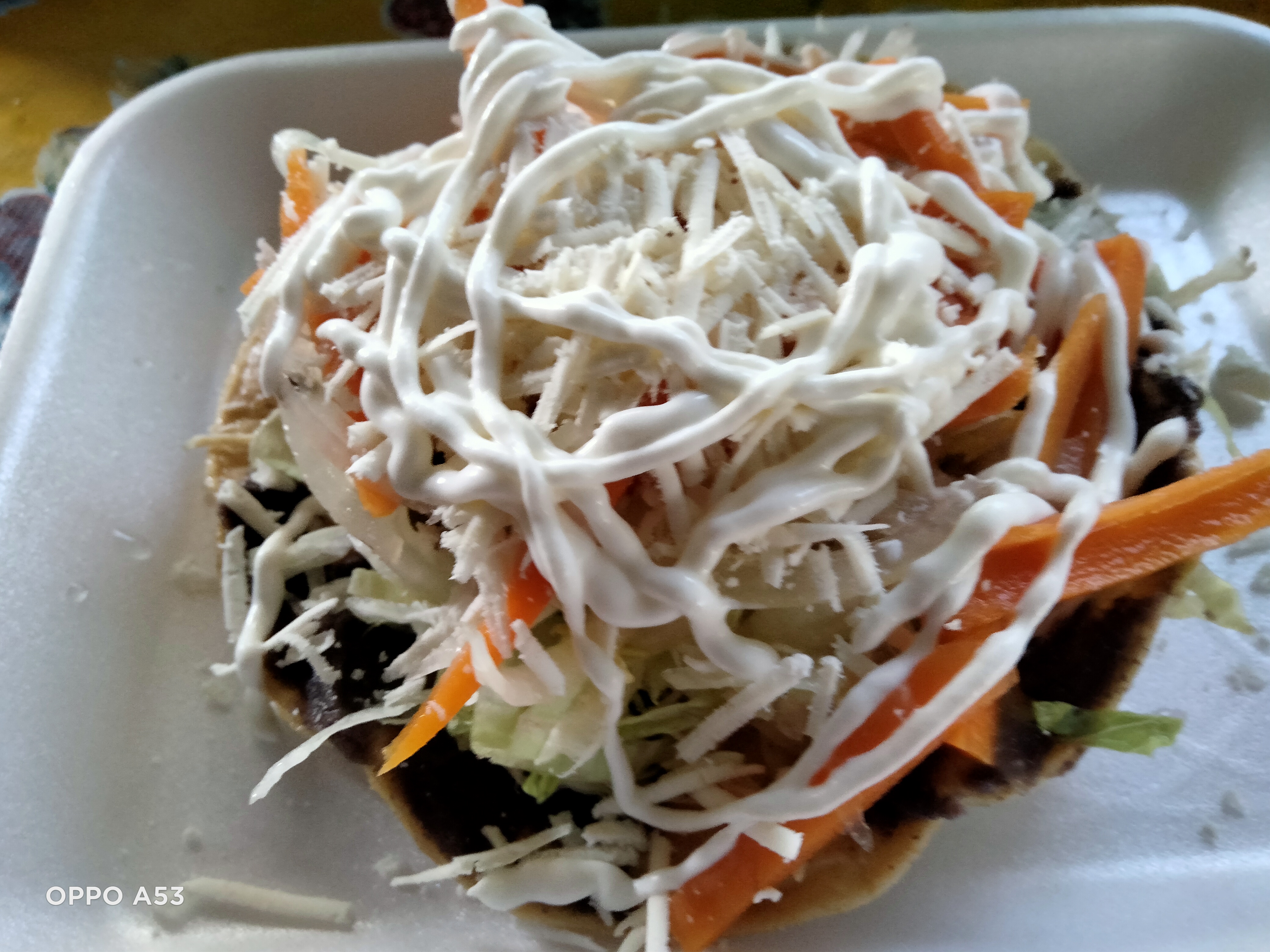 Pozoleria mari image 2