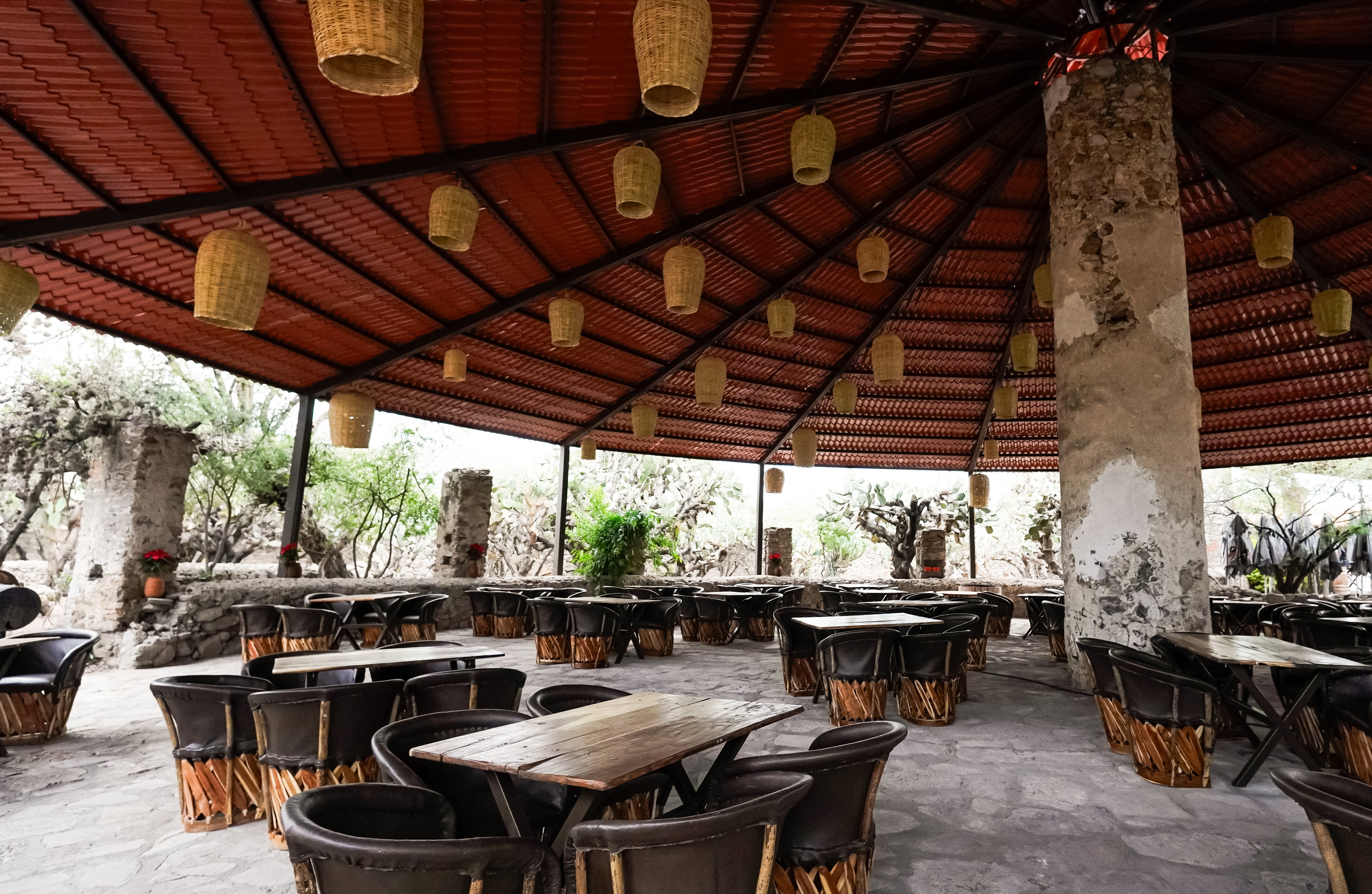 Barbacoa de Hoyo Don Lole - Viñedos Atongo image 1