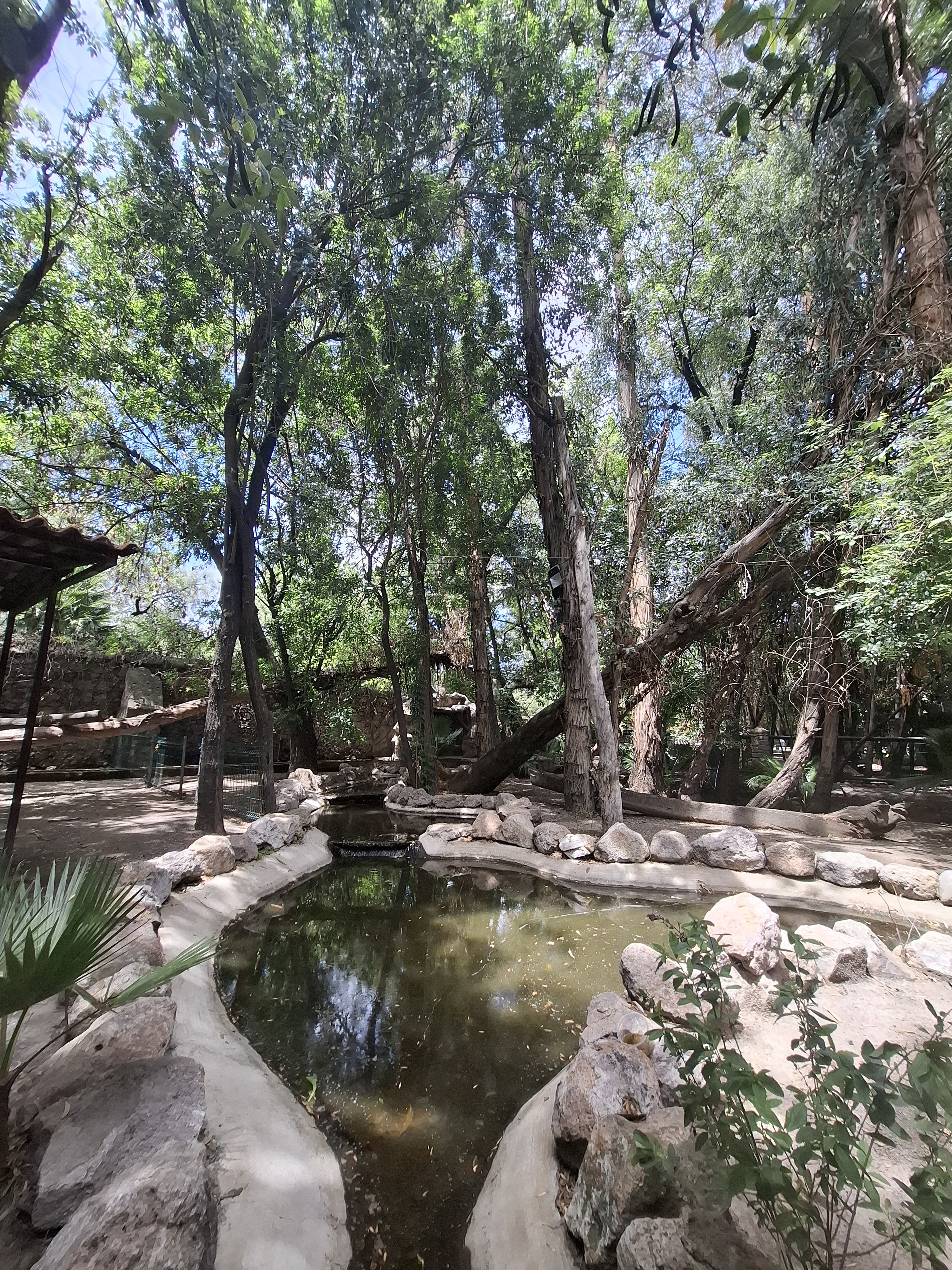 Barbacoa de Hoyo Don Lole - Viñedos Atongo image 4