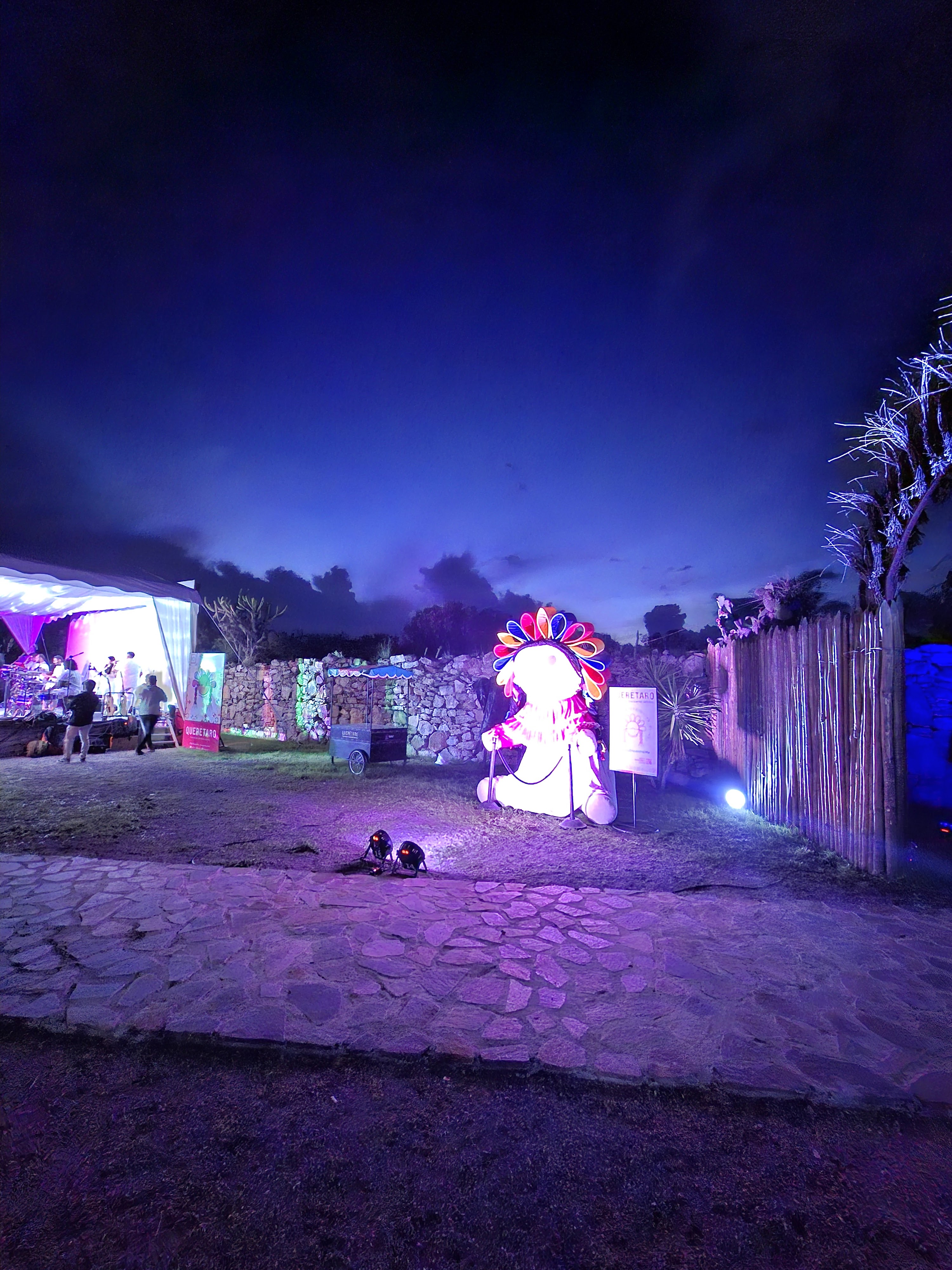 Barbacoa de Hoyo Don Lole - Viñedos Atongo image 5