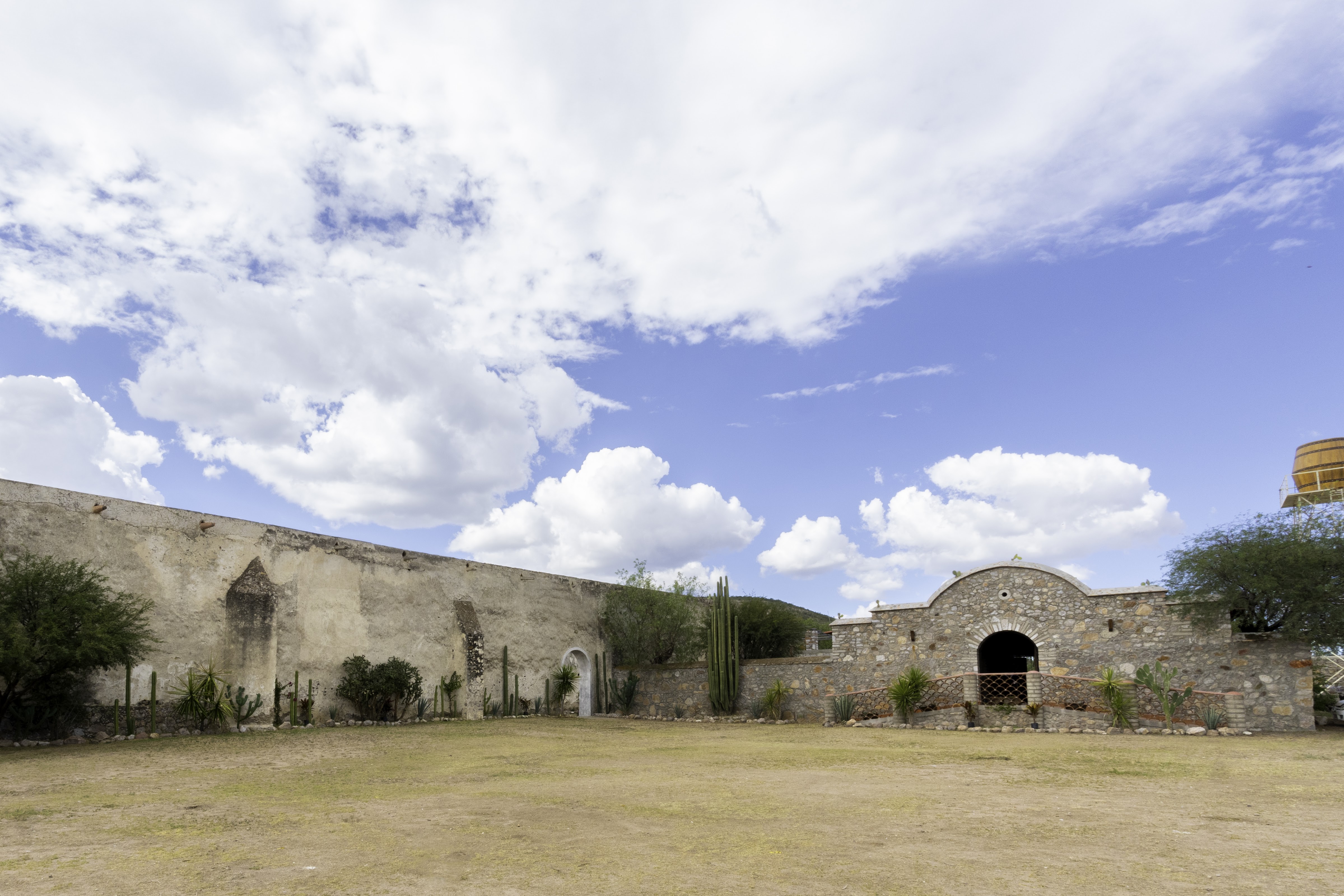 Barbacoa de Hoyo Don Lole - Viñedos Atongo image 10