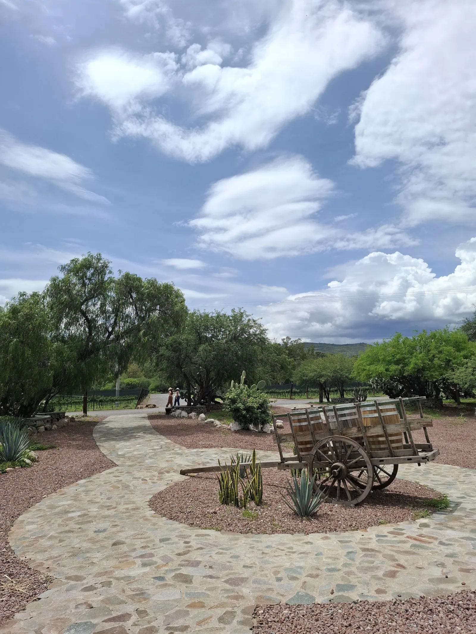 Barbacoa "Don Lole" - Hacienda Atongo image 7