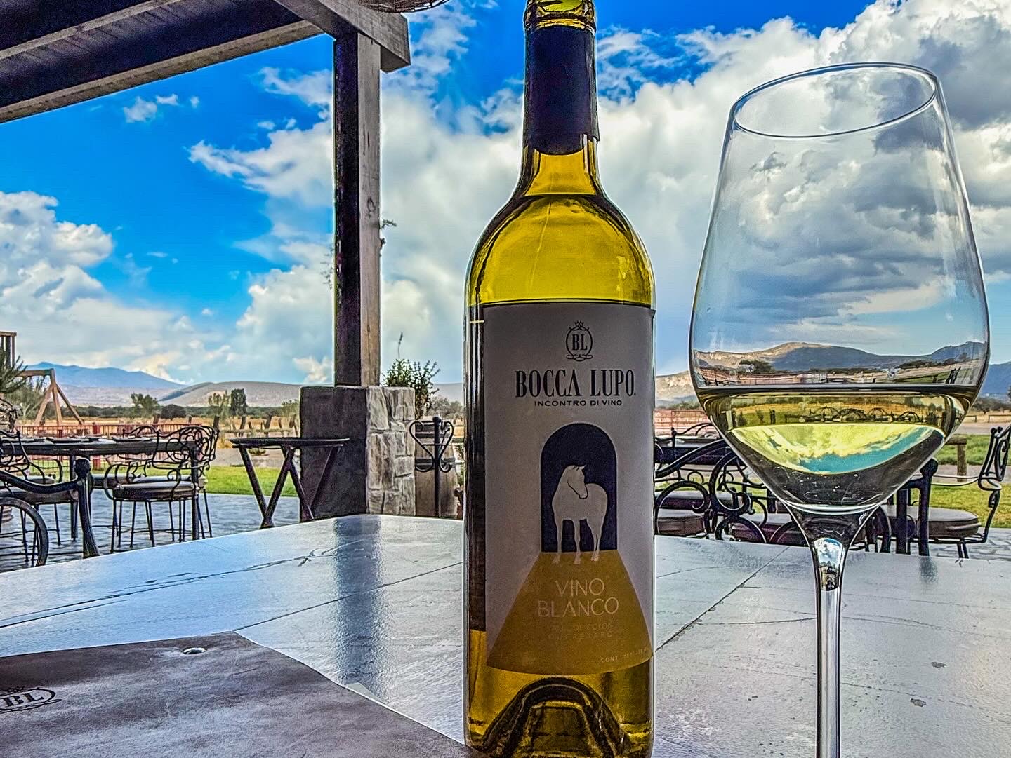 Viñedo Bocca Lupo image 3