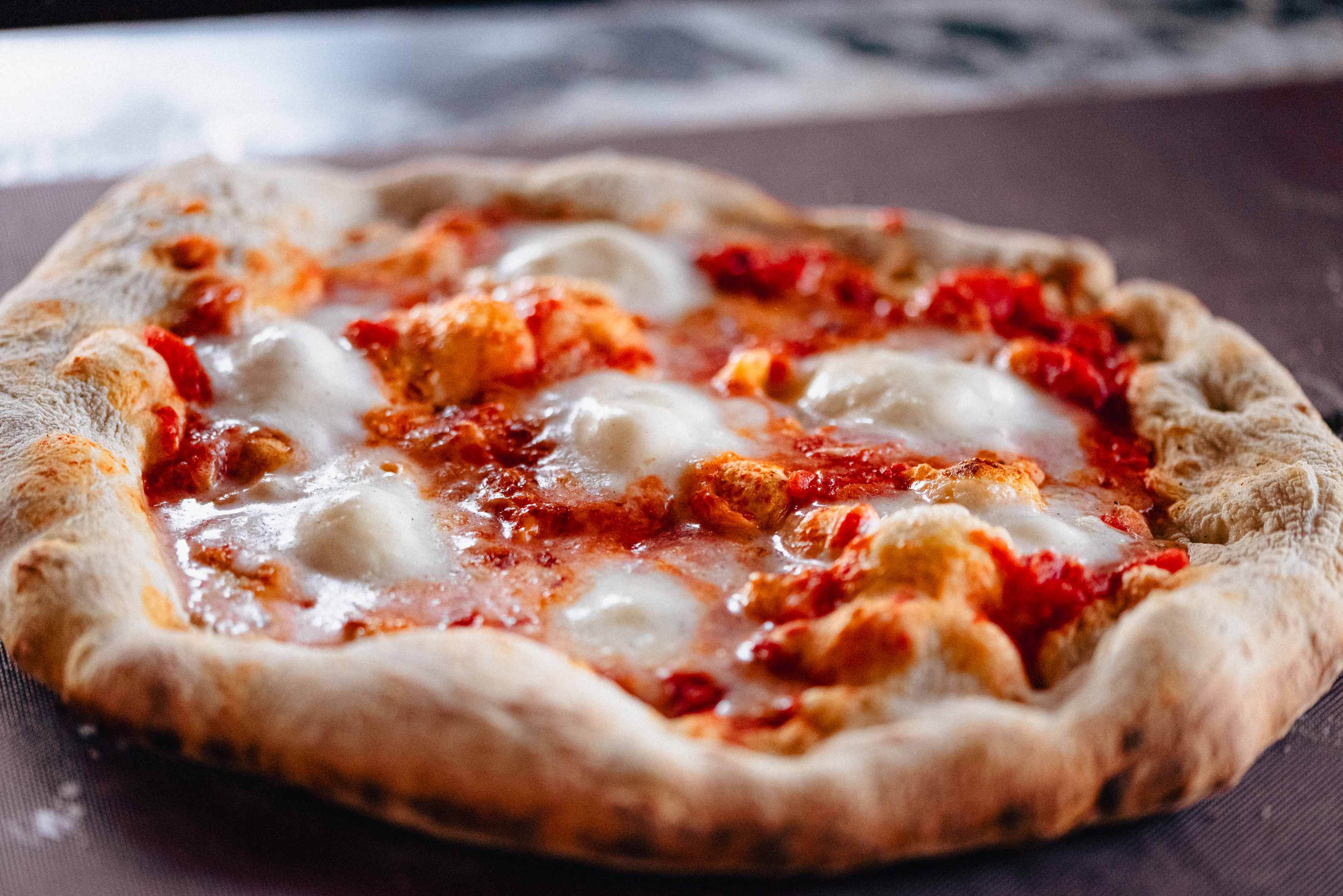 Viñedo Bocca Lupo image 5