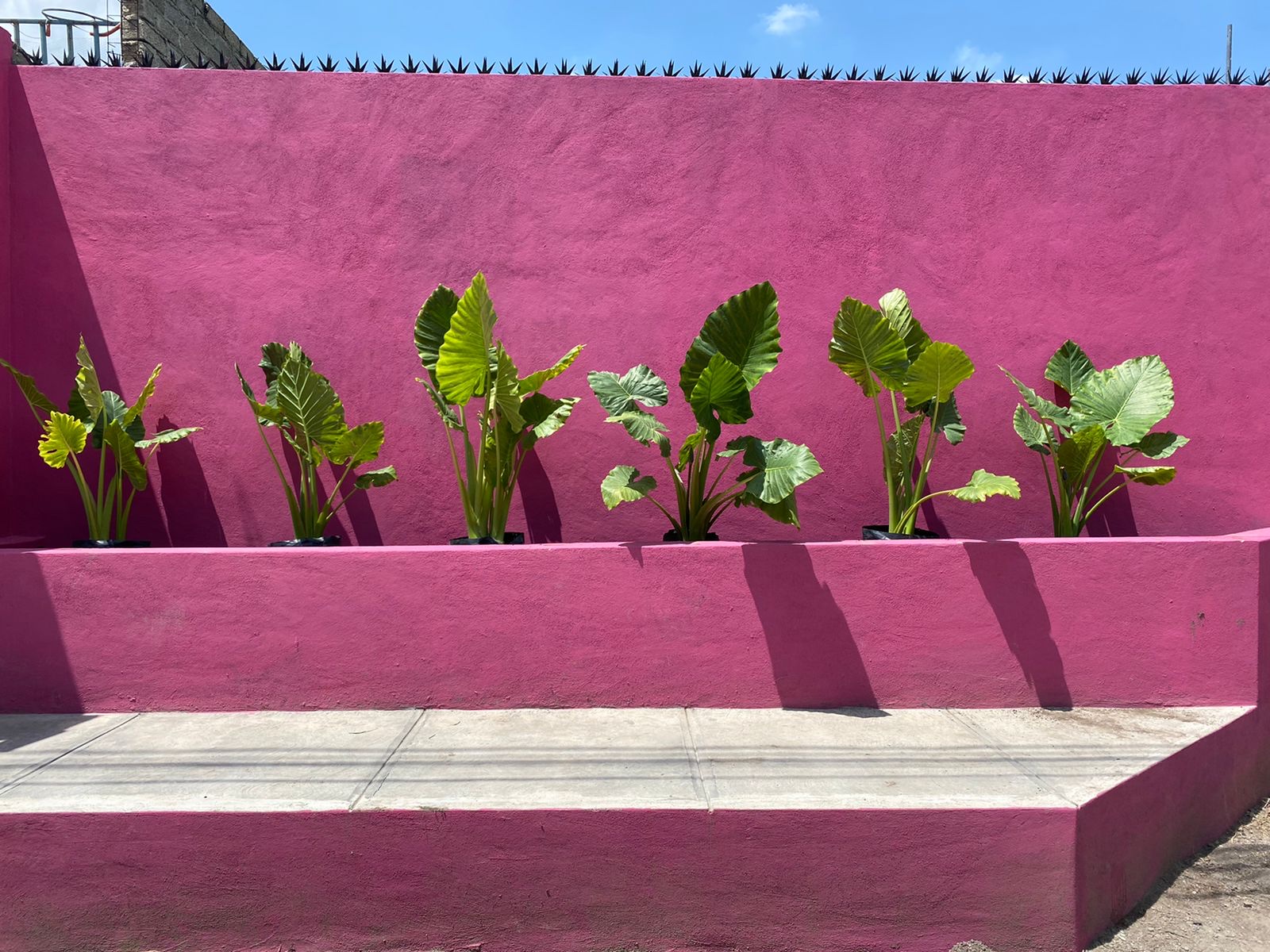 Mariscos El Delfín image 7