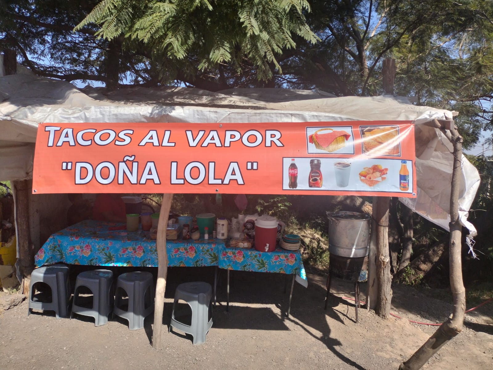 TACOS AL VAPOR DOÑA LOLA image 1