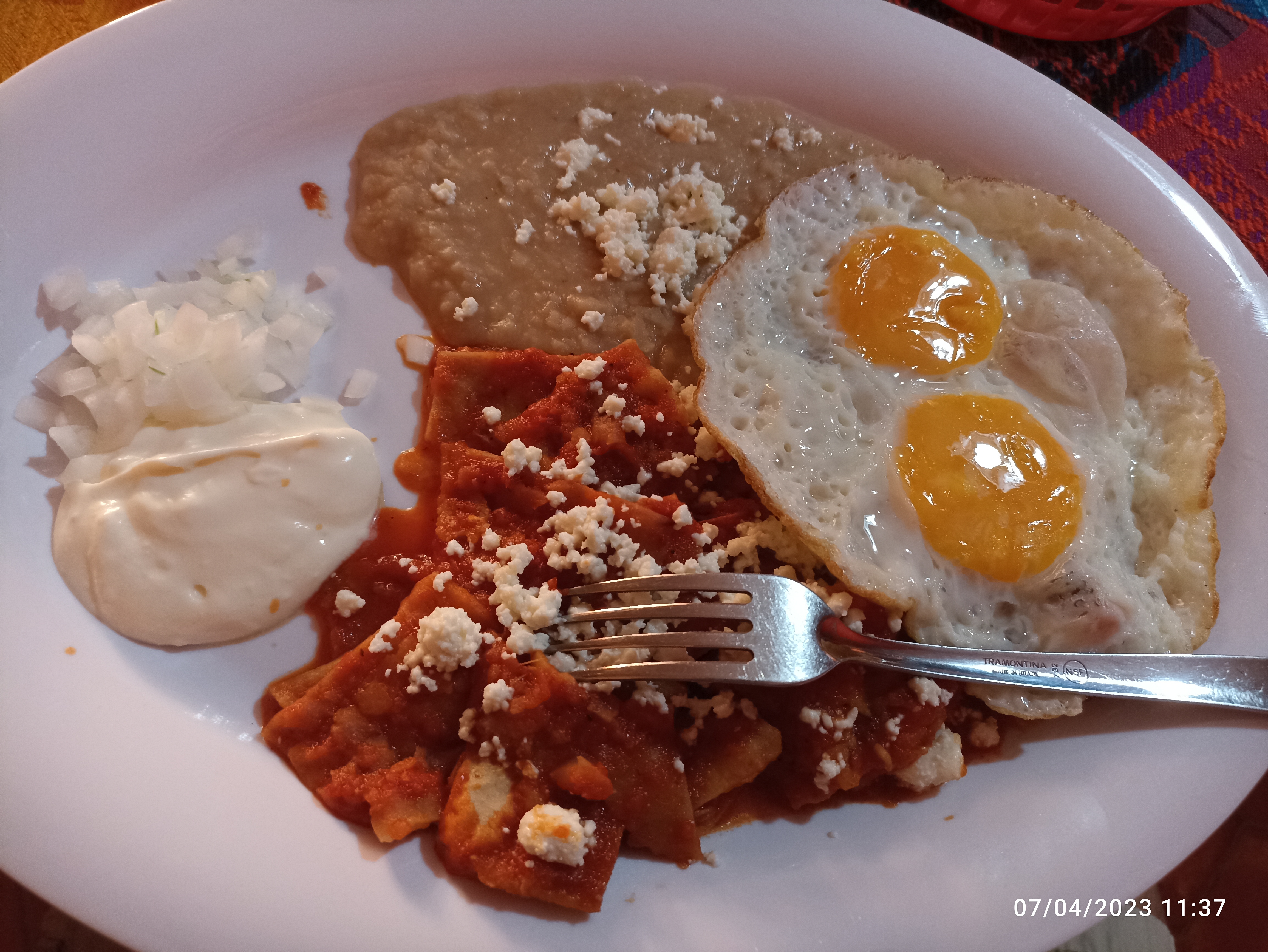 Restaurant Bar Casa Vallarta image 4