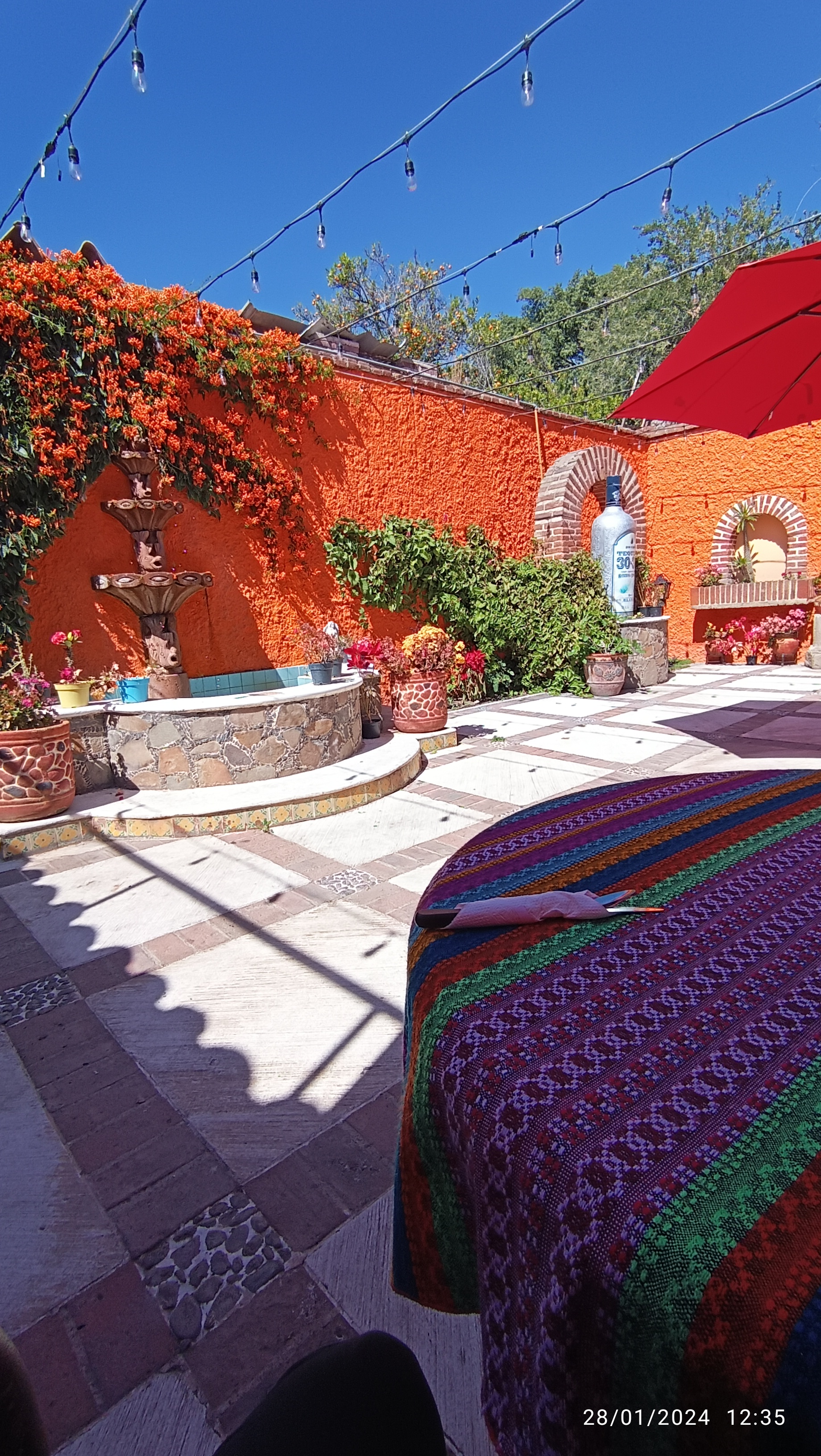 Restaurant Bar Casa Vallarta image 7