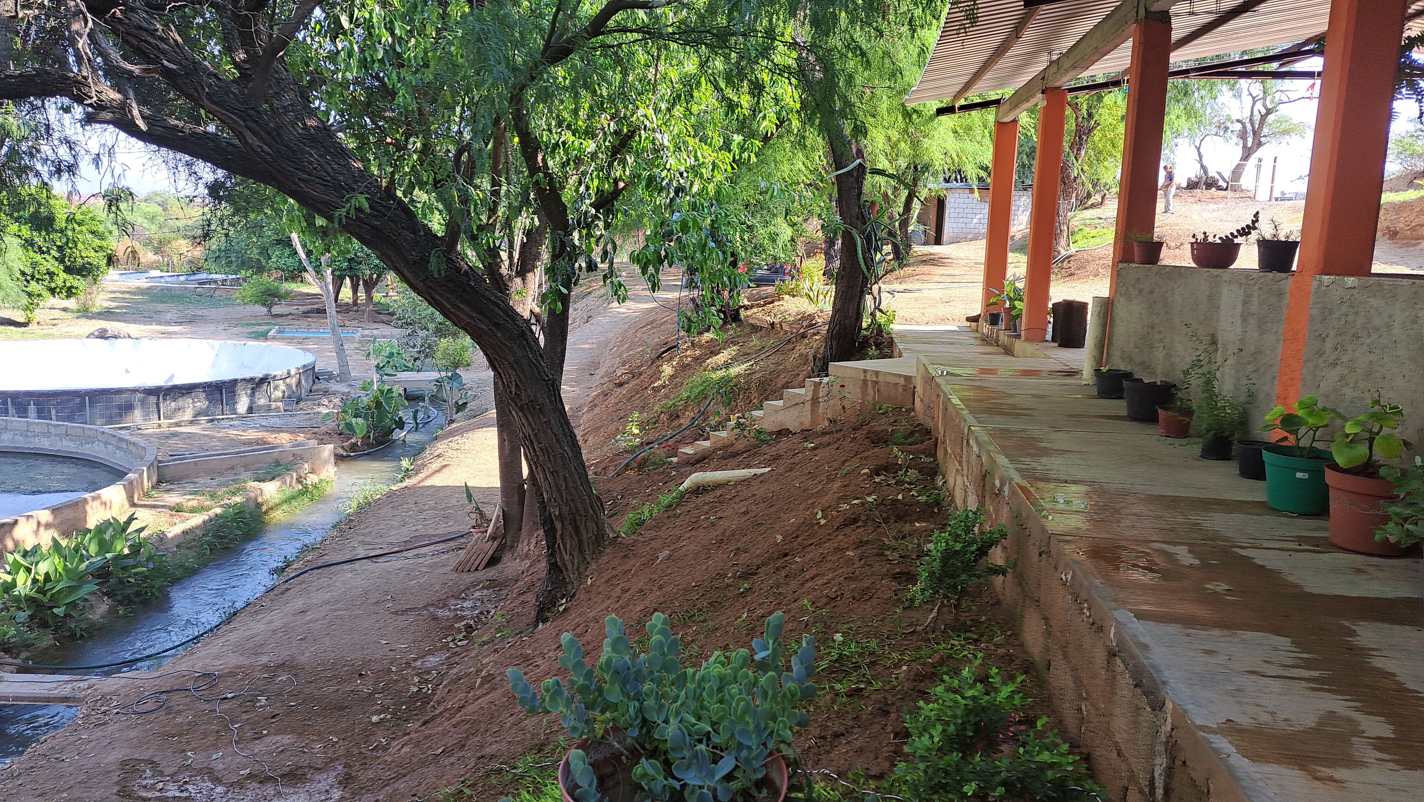 Rancho las Joyas image 6