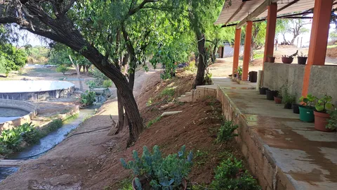 Rancho las Joyas image 6