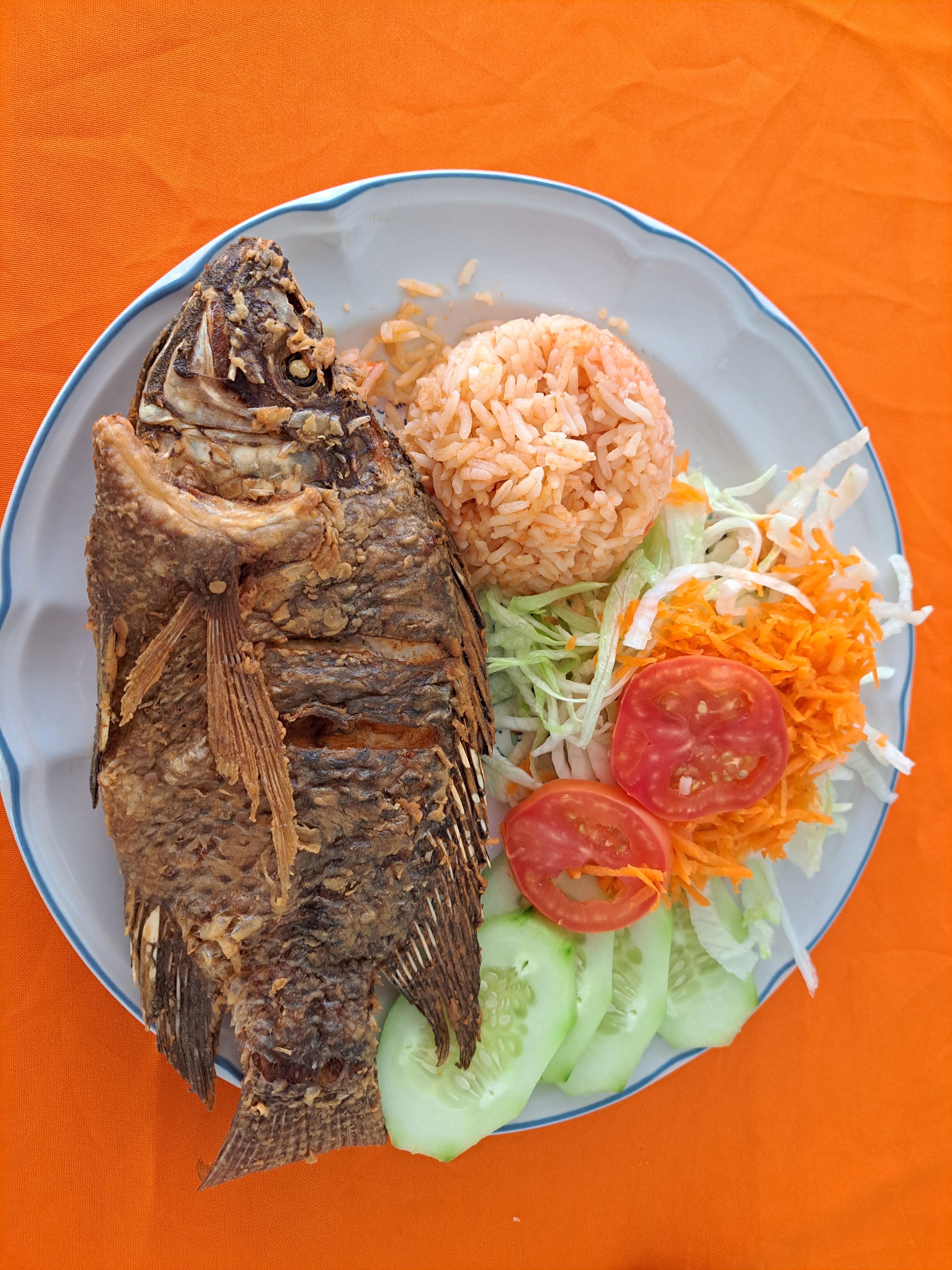 Rancho las Joyas image 9