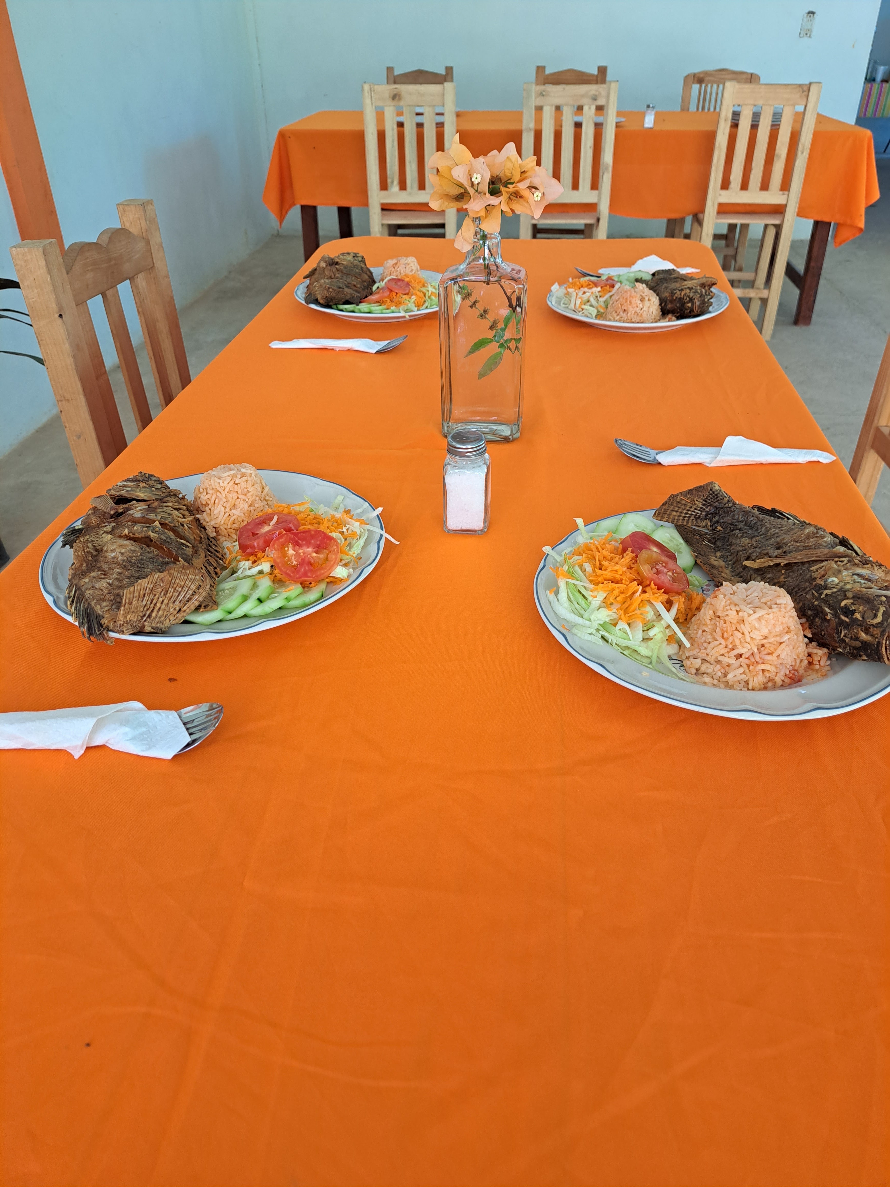 Rancho las Joyas image 10