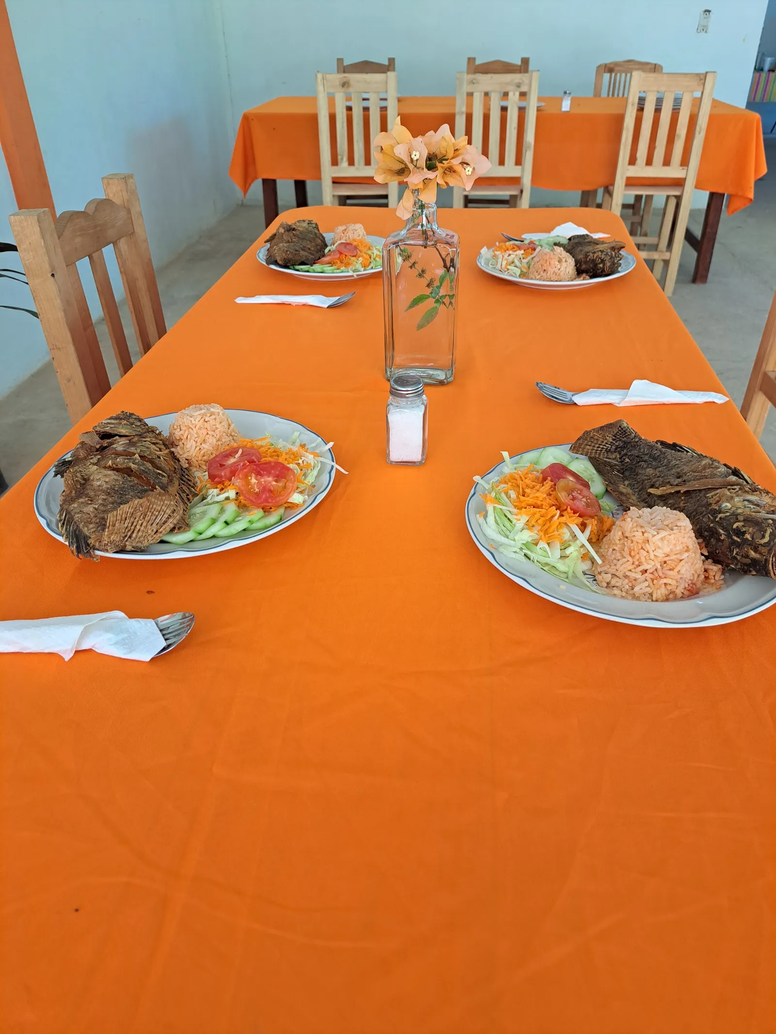 Rancho las Joyas image 10