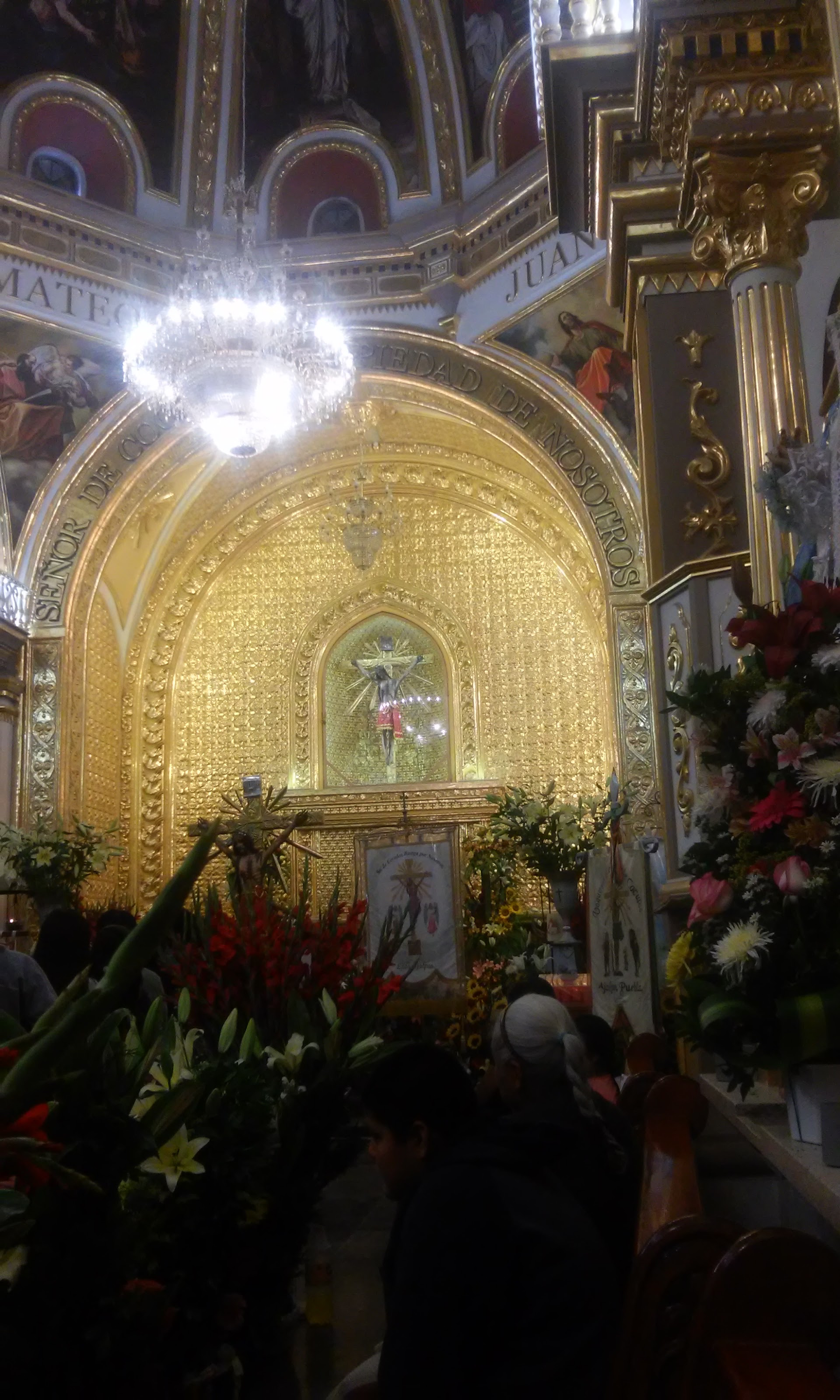 fonda lozada image 4