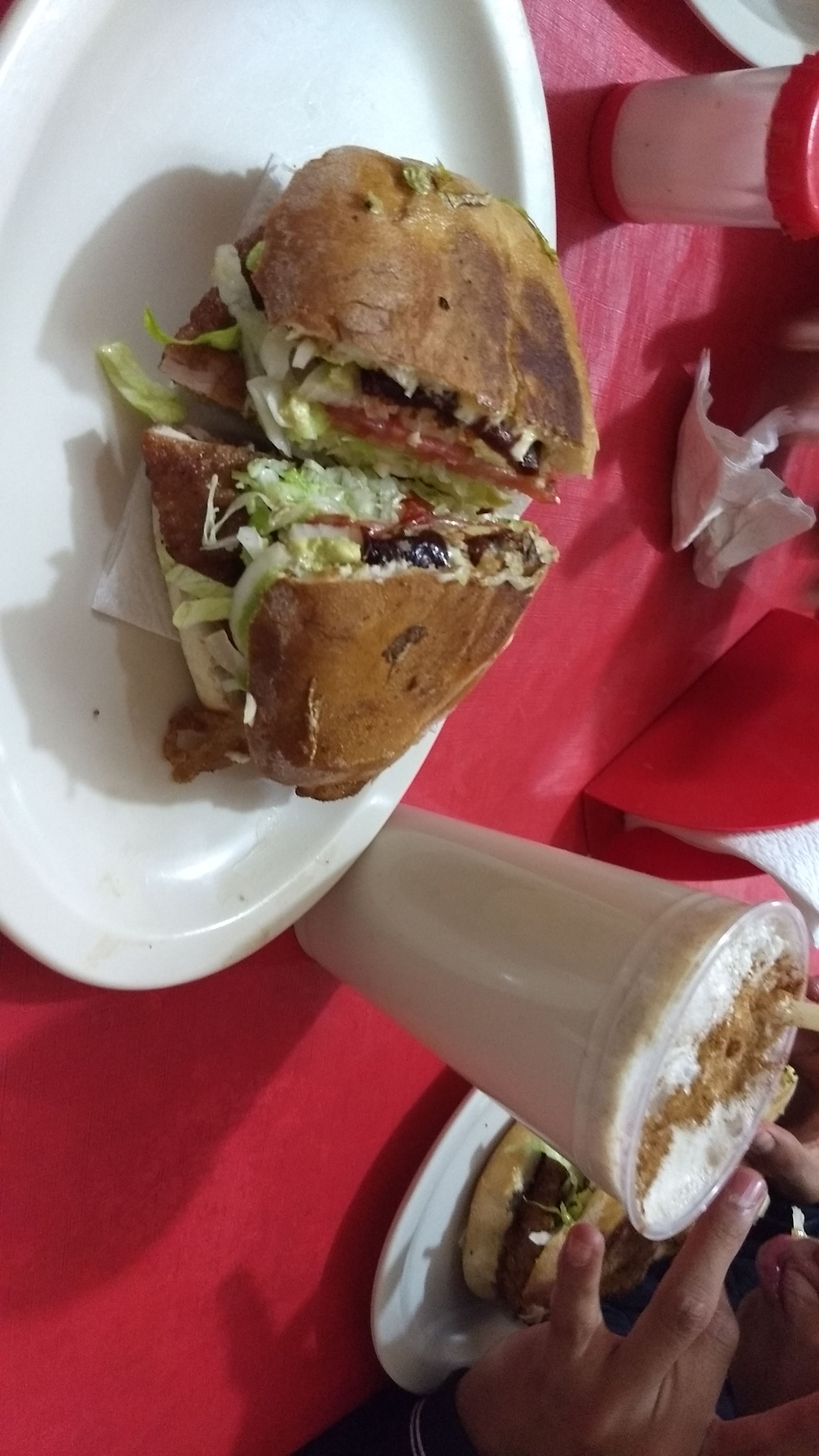 fonda lozada image 5