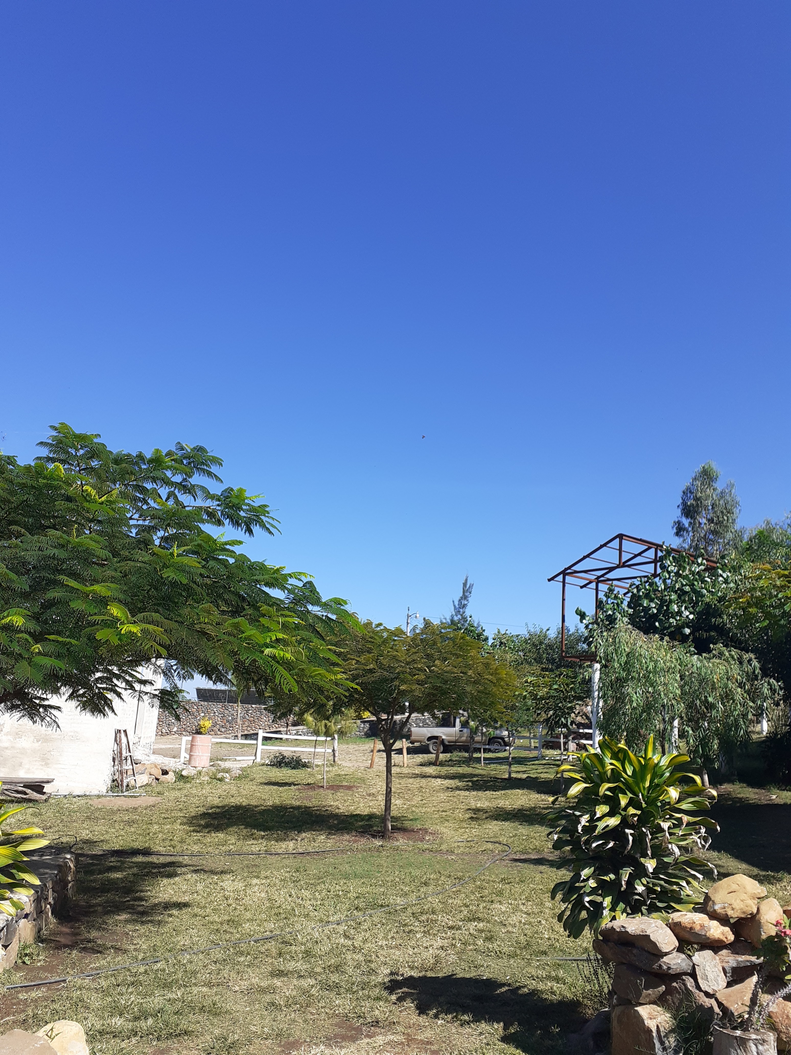 Cazuelas El Capiro image 9