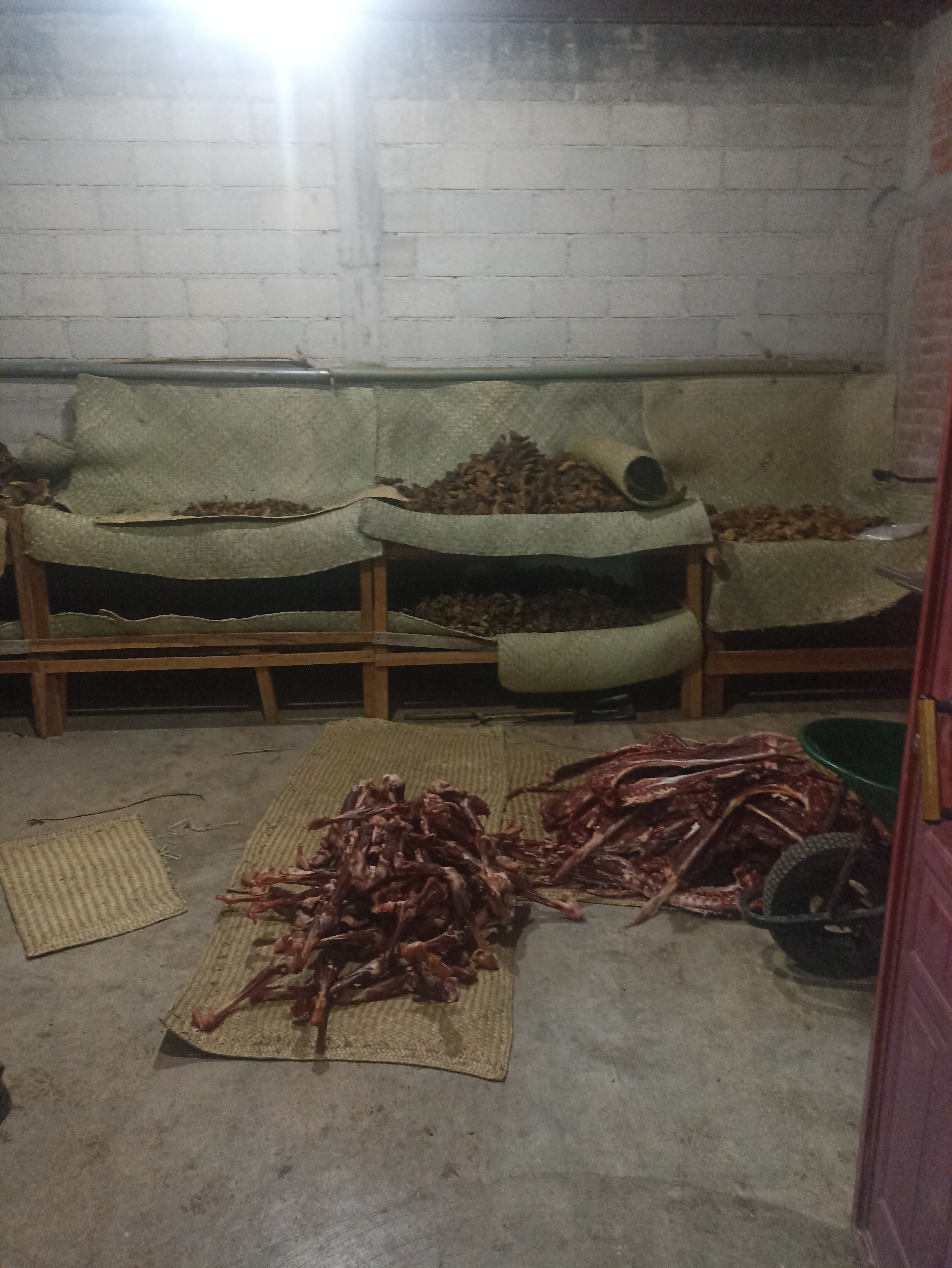 Rancho el caracol image 5