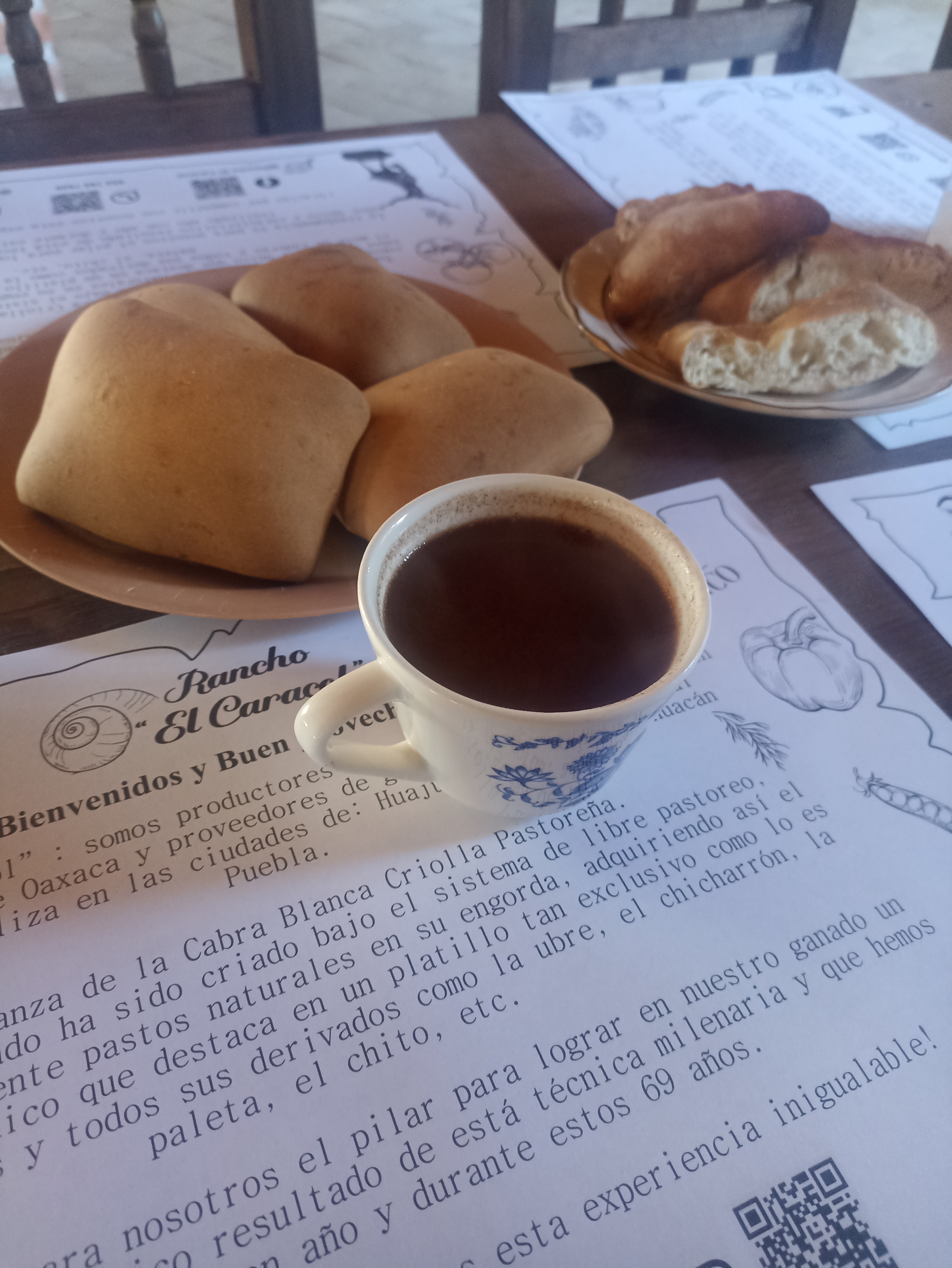 Rancho el caracol image 6