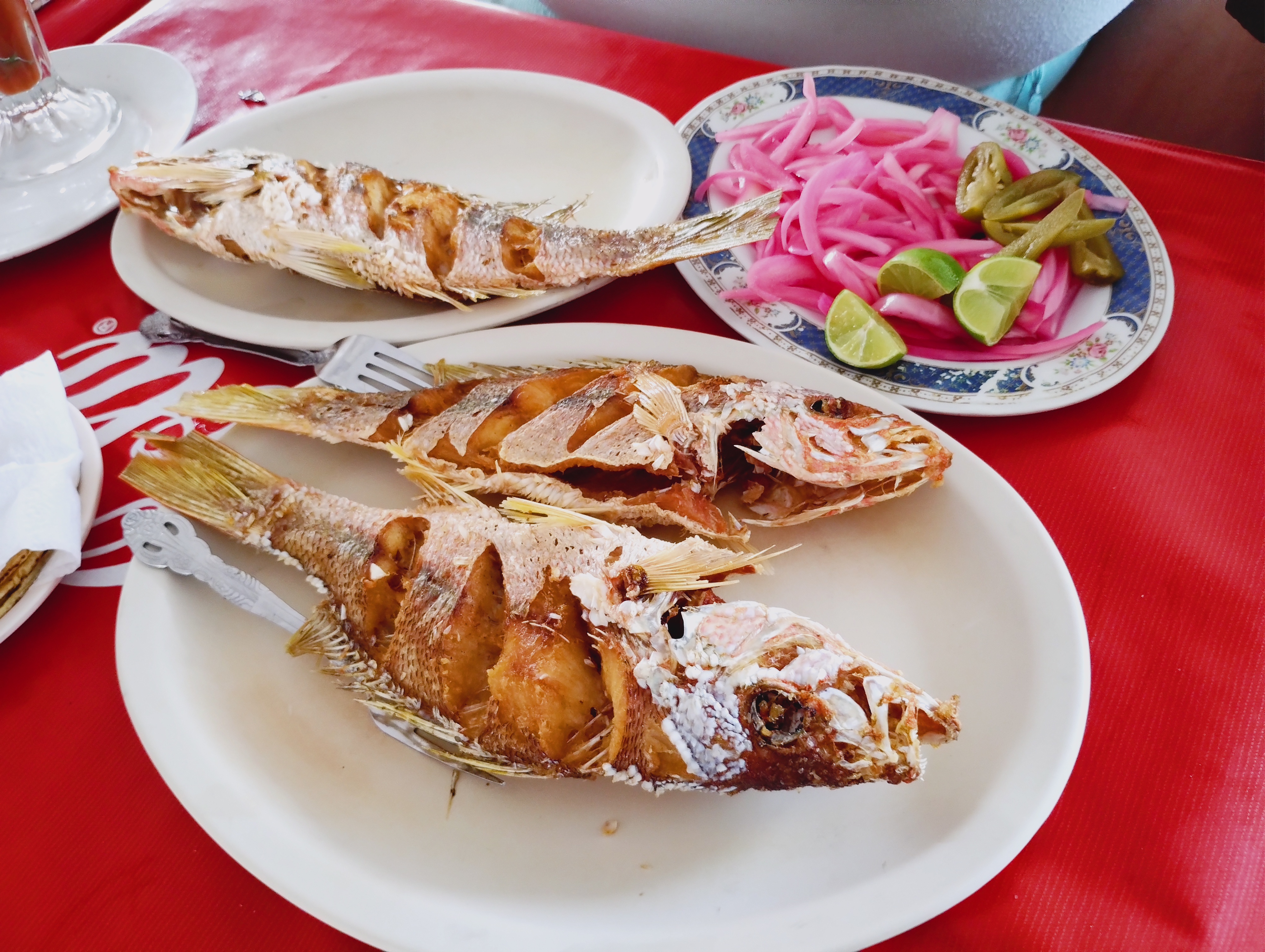 La Terracita image 2