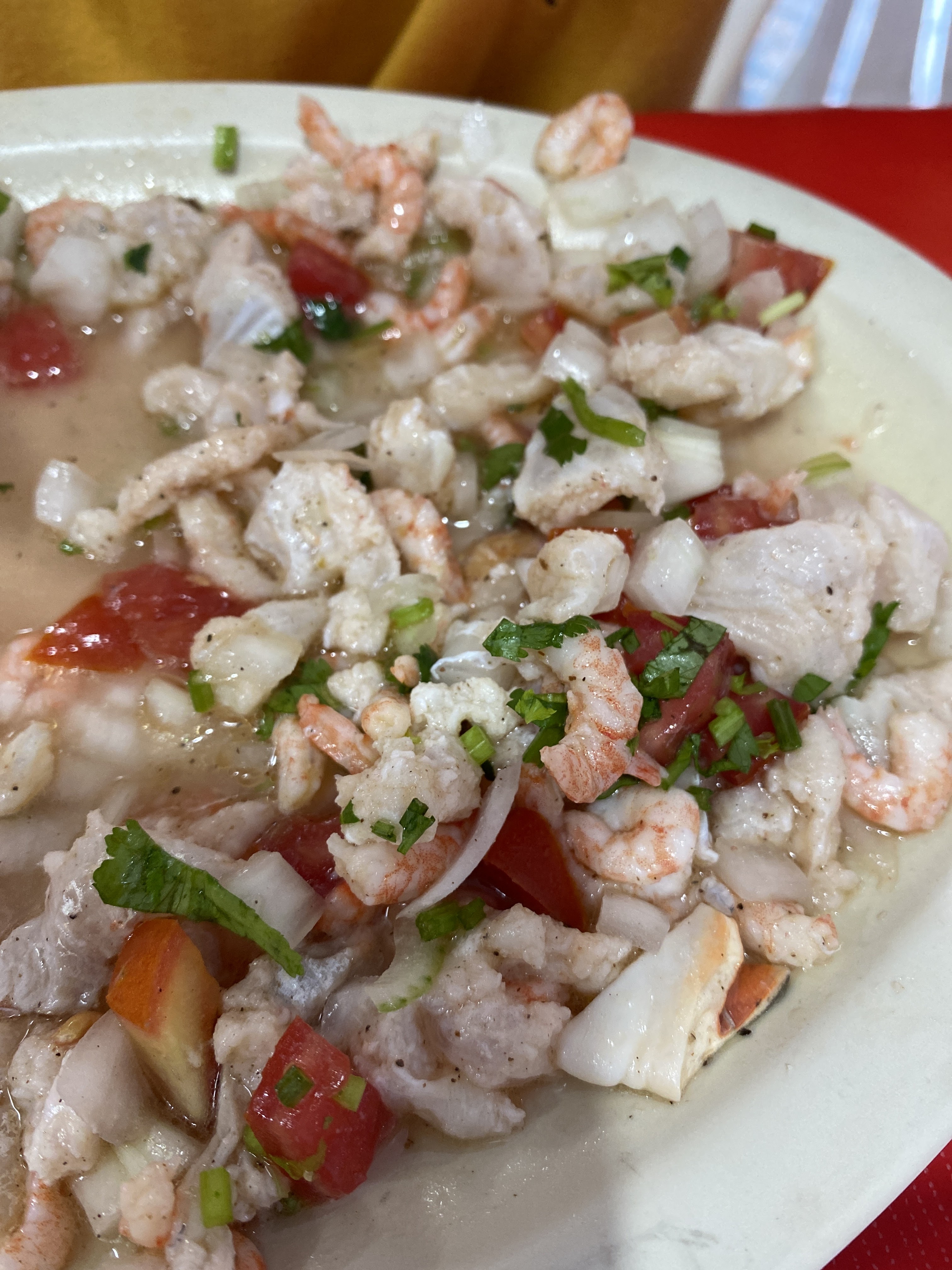 La Terracita image 3