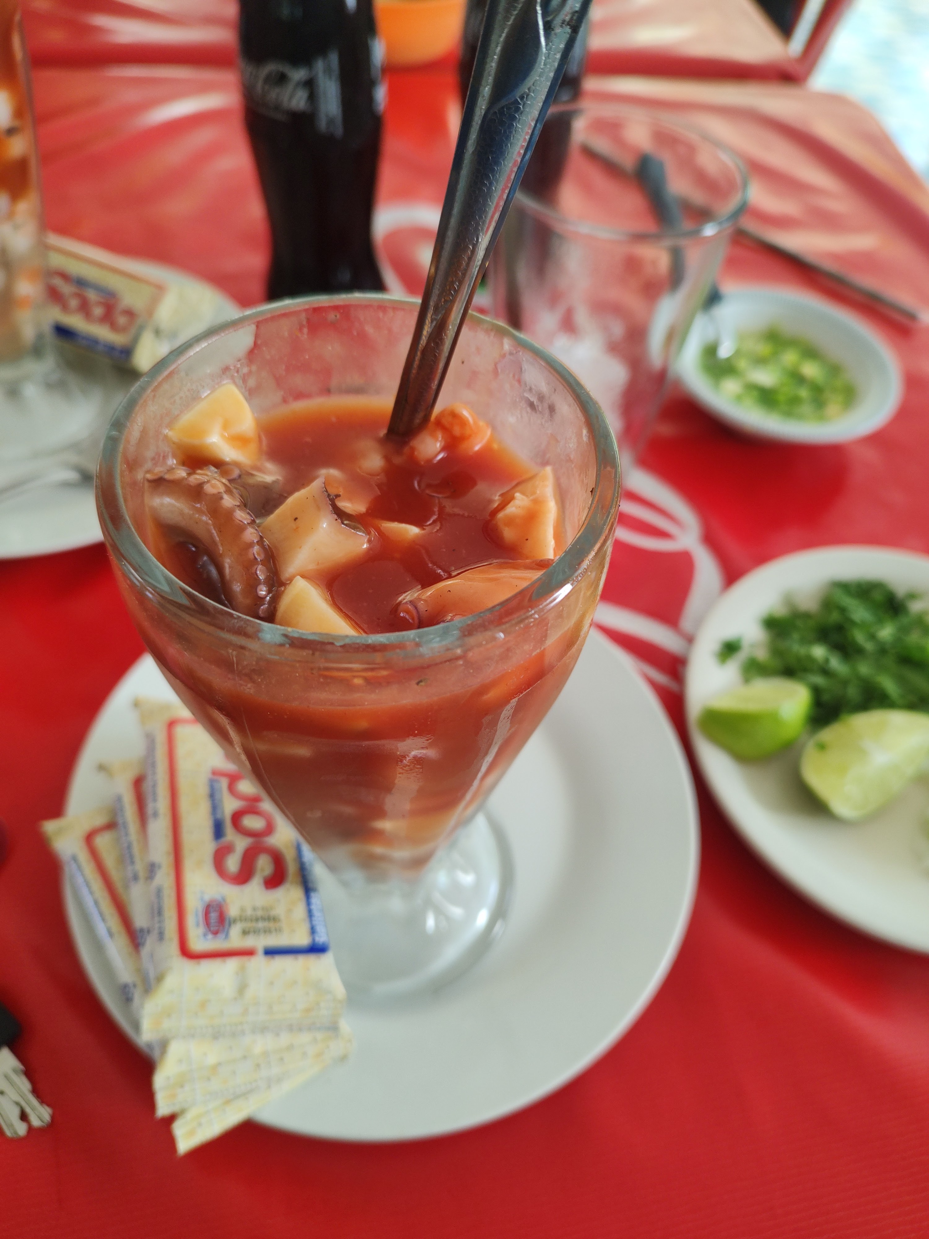 La Terracita image 6