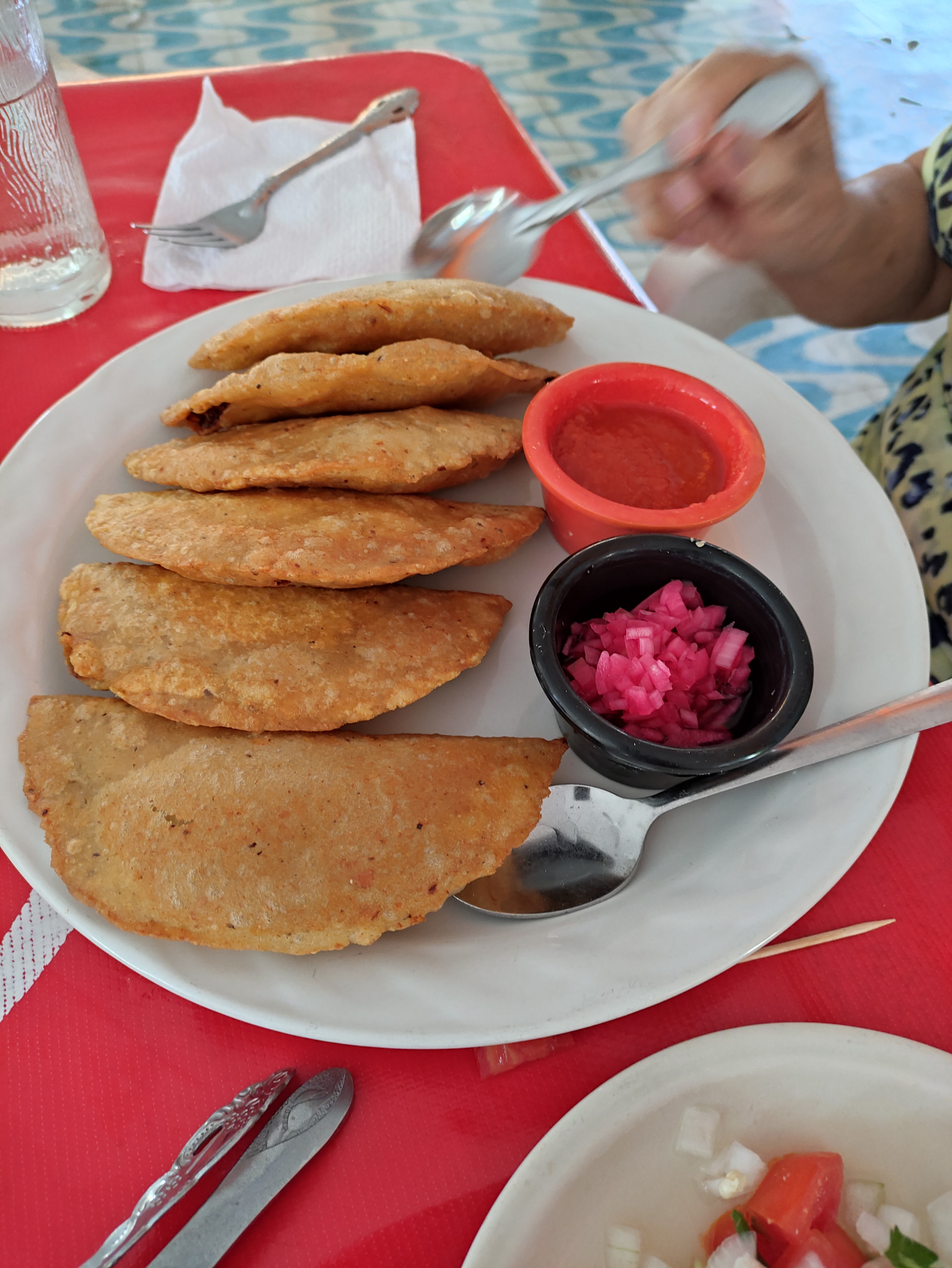 La Terracita image 8