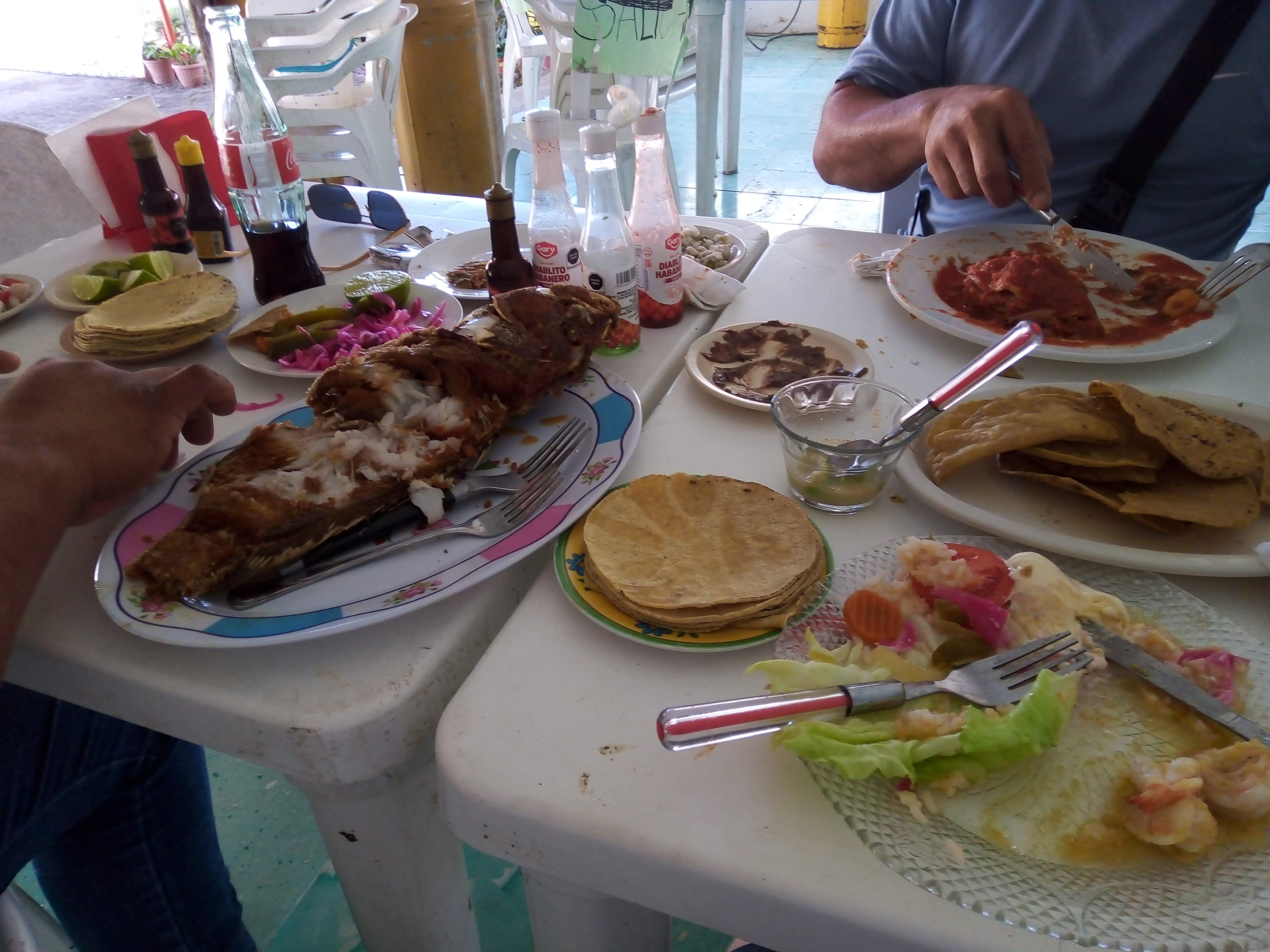 Los 4 Hermanos image 8