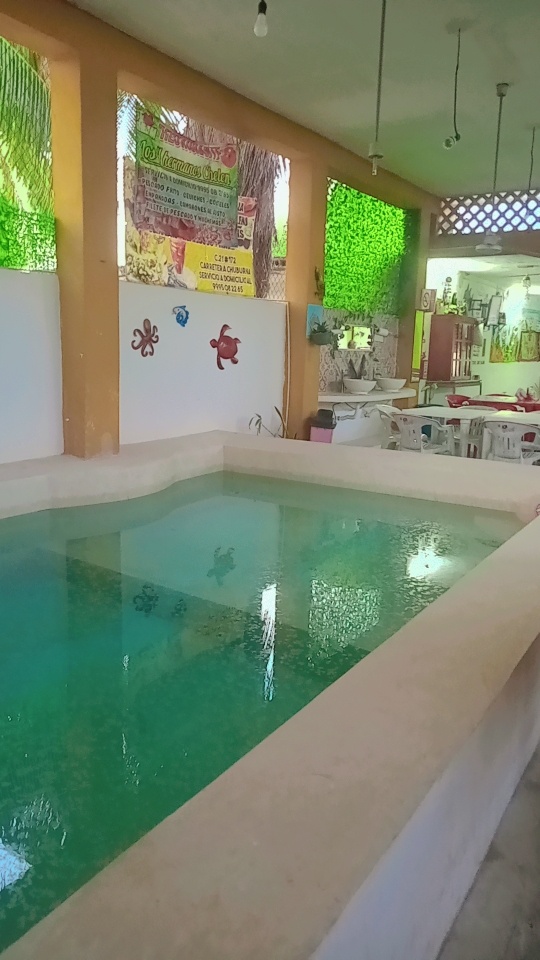 Los 4 Hermanos image 9