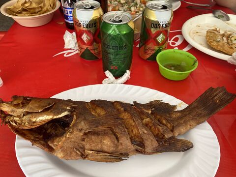 La Lupita image 2