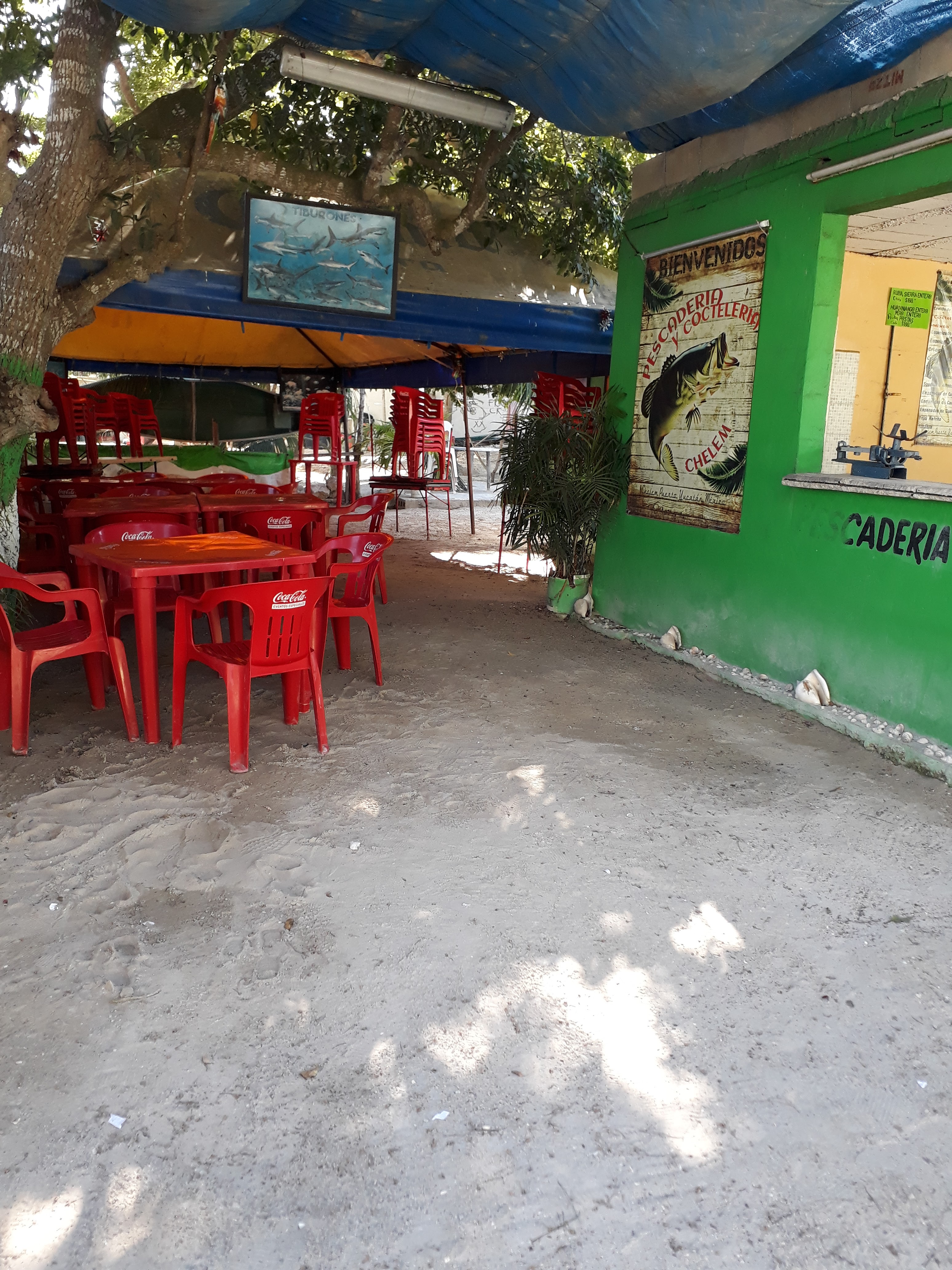 Pescadería Chelem image 9