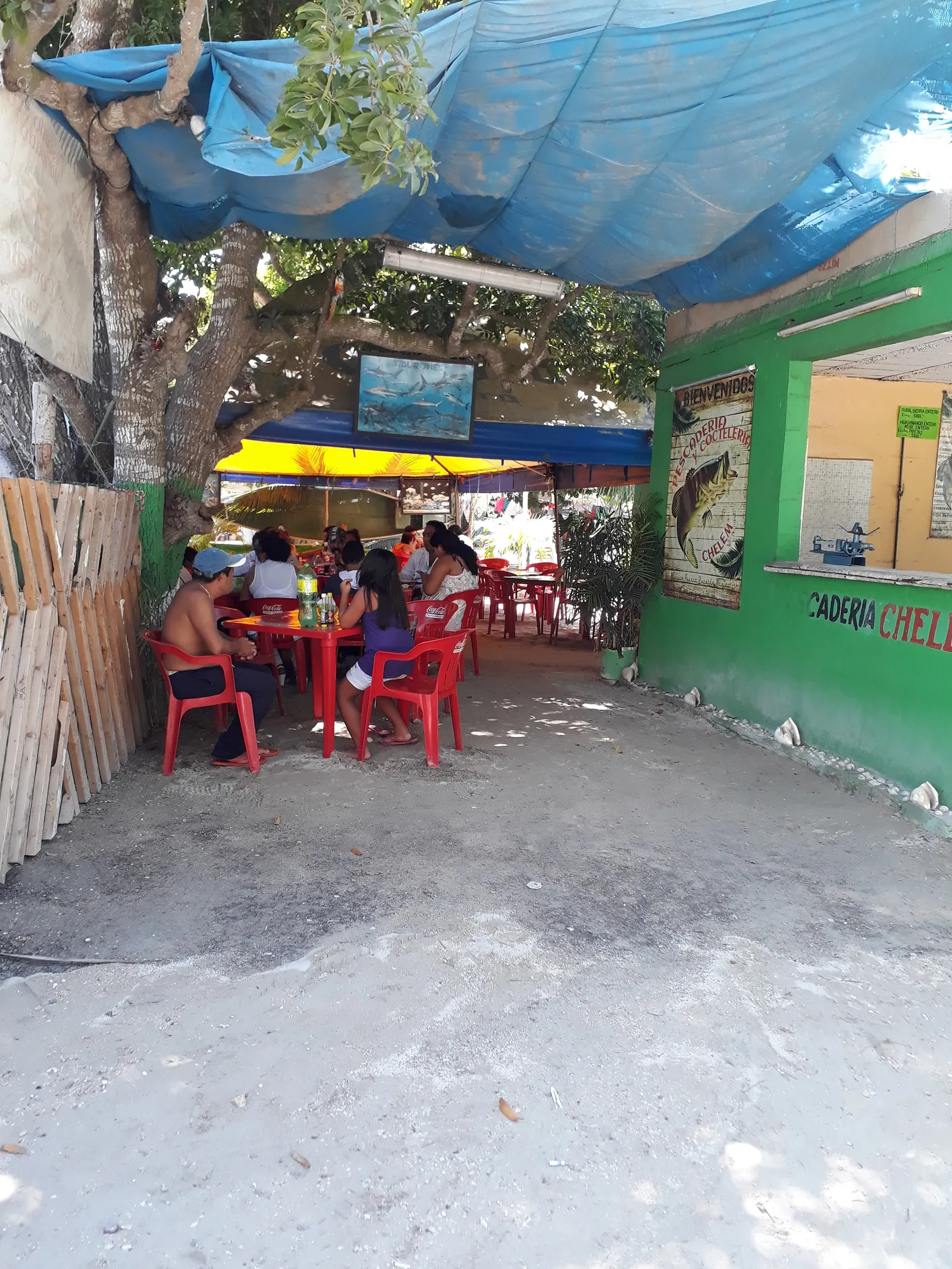 Pescadería Chelem image 10
