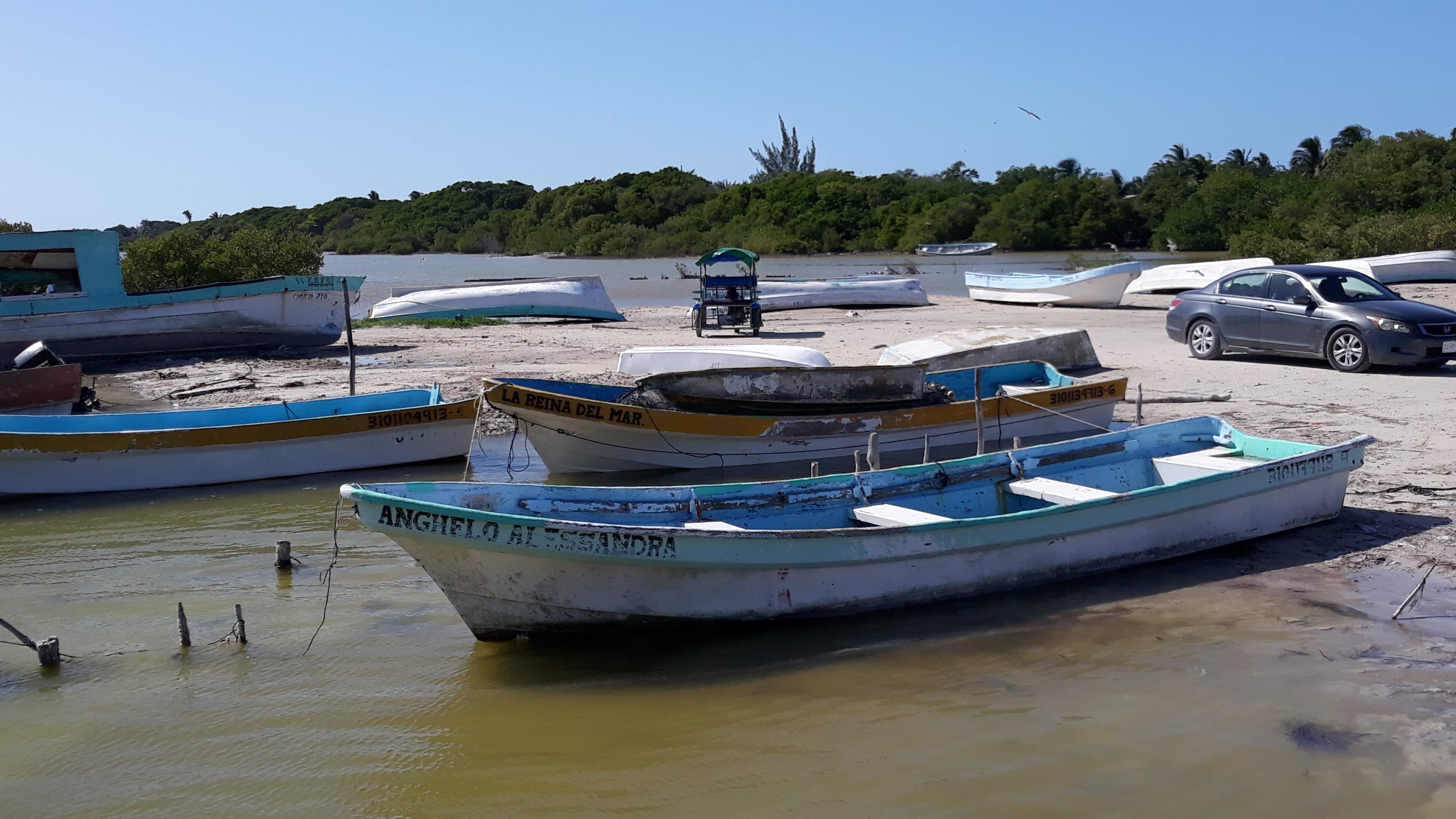 Pescadería La Ría image 3