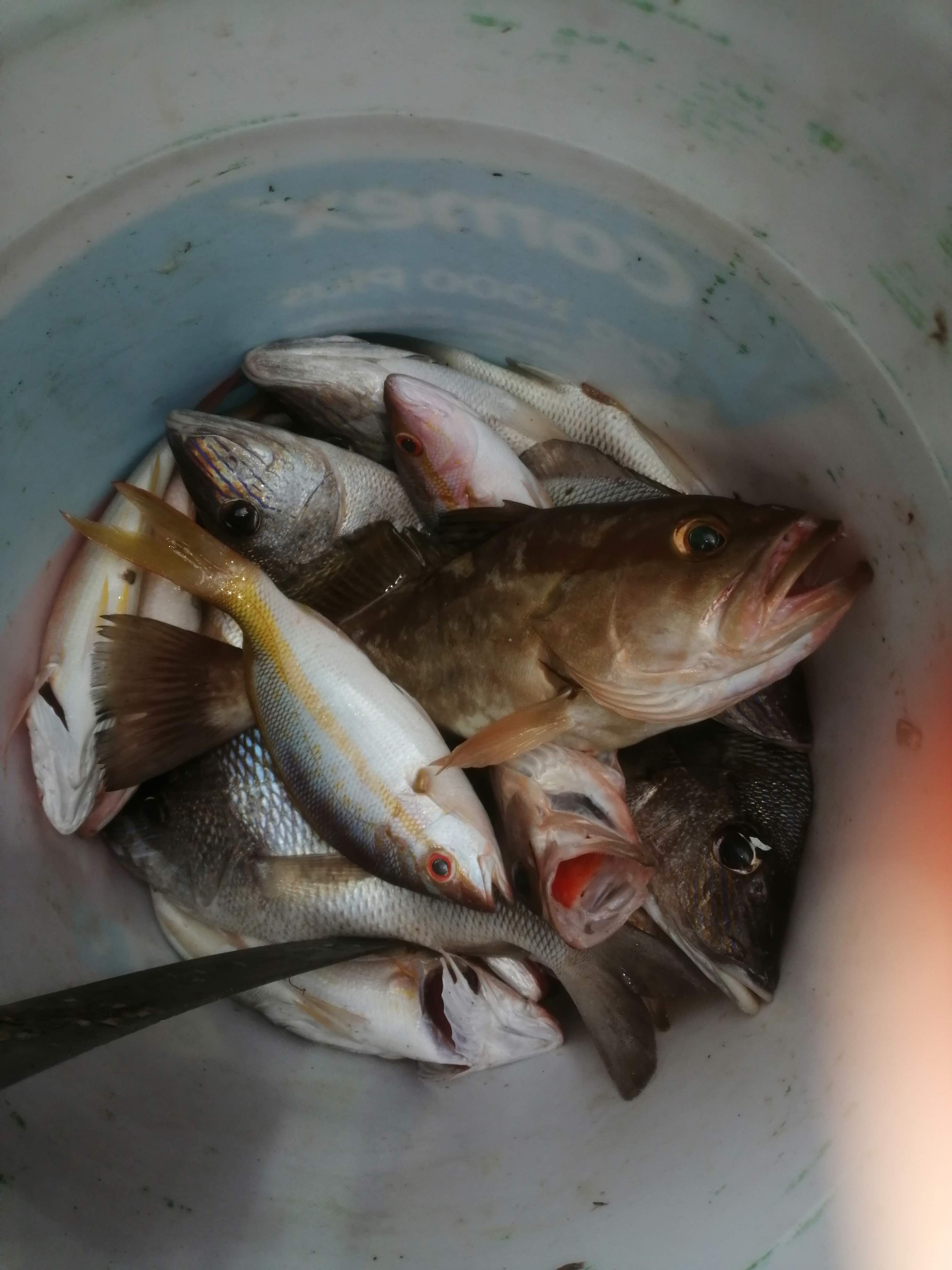 Pescadería La Ría image 9