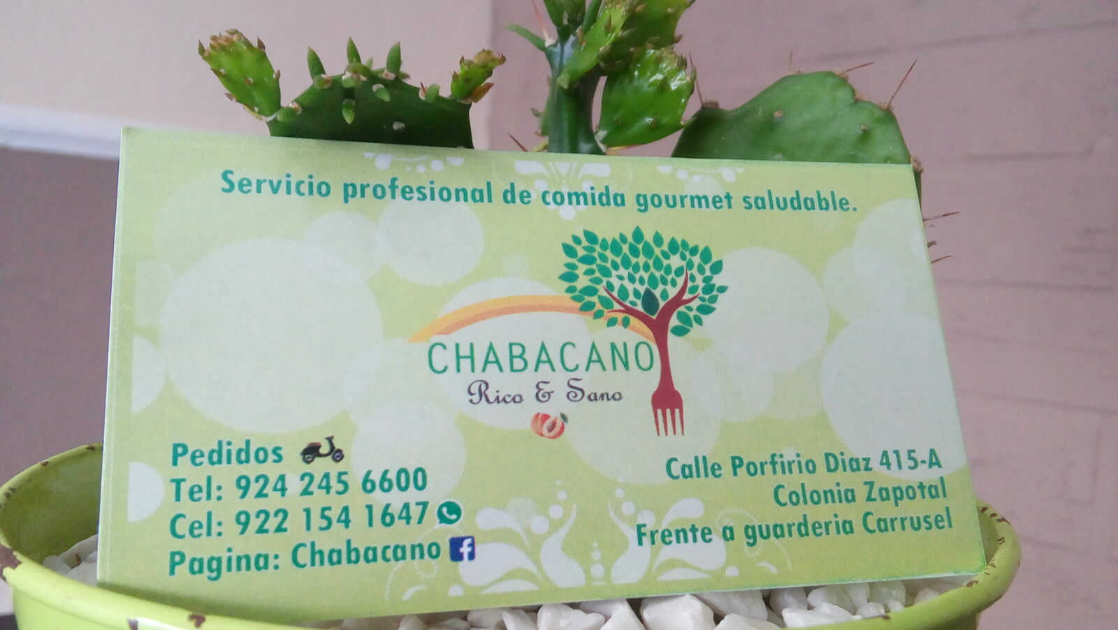 chabacano image 9