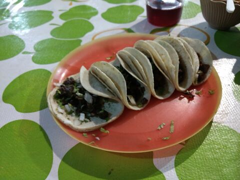 Tlayudas y Tacos Montana image 4