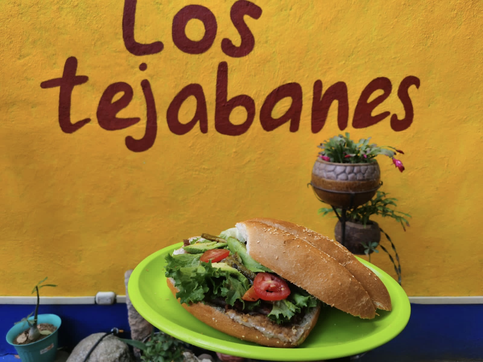 Los Tejabanes image 7