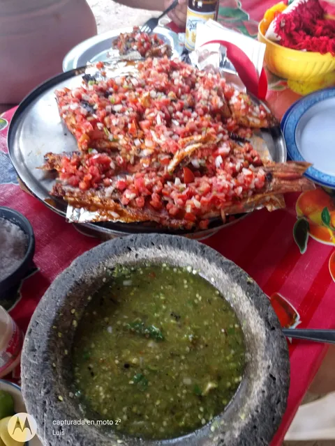 Comedor Brenda "La Moya" image 7