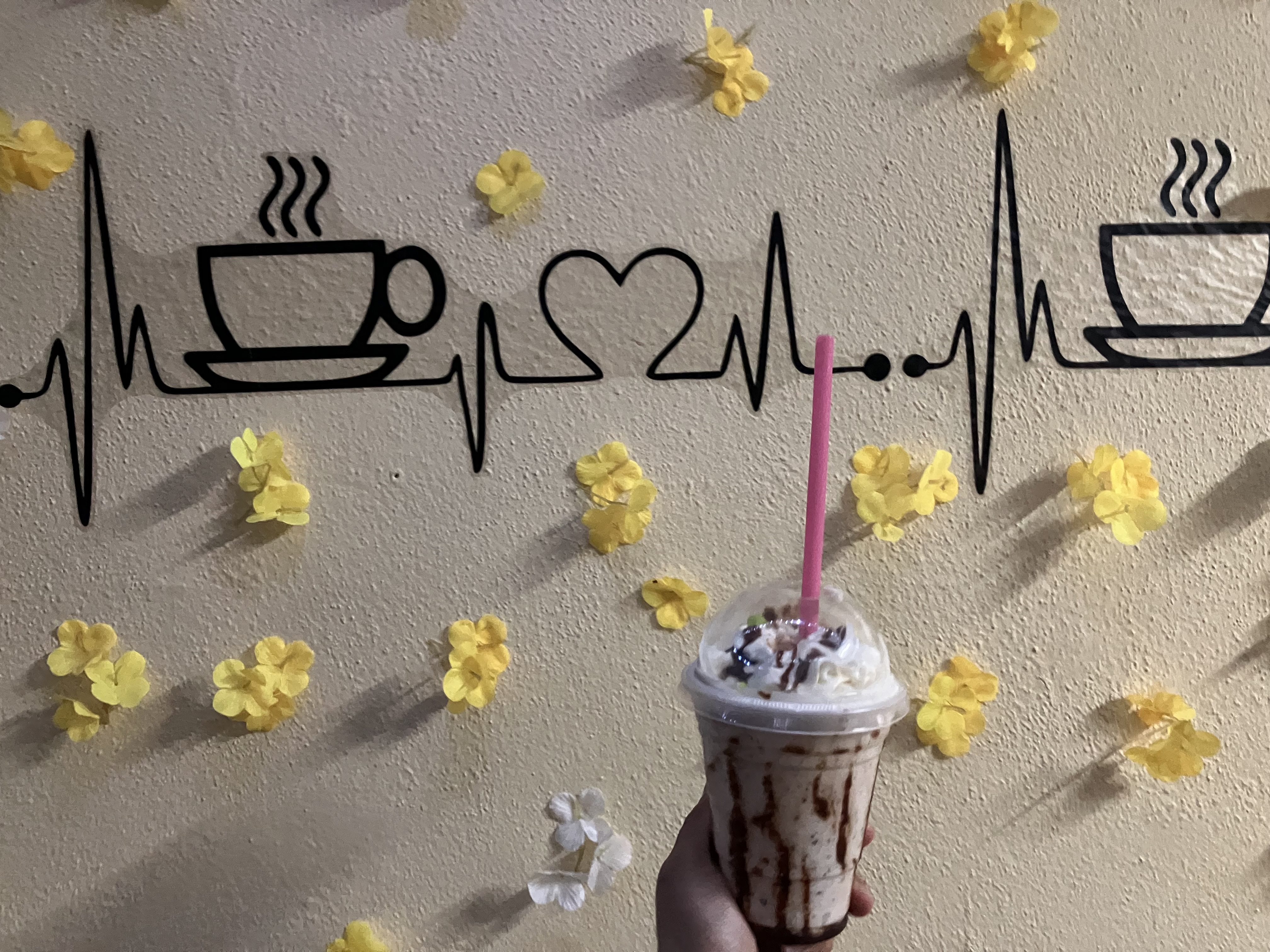 Taquitos y antojitos doña rafa image 8