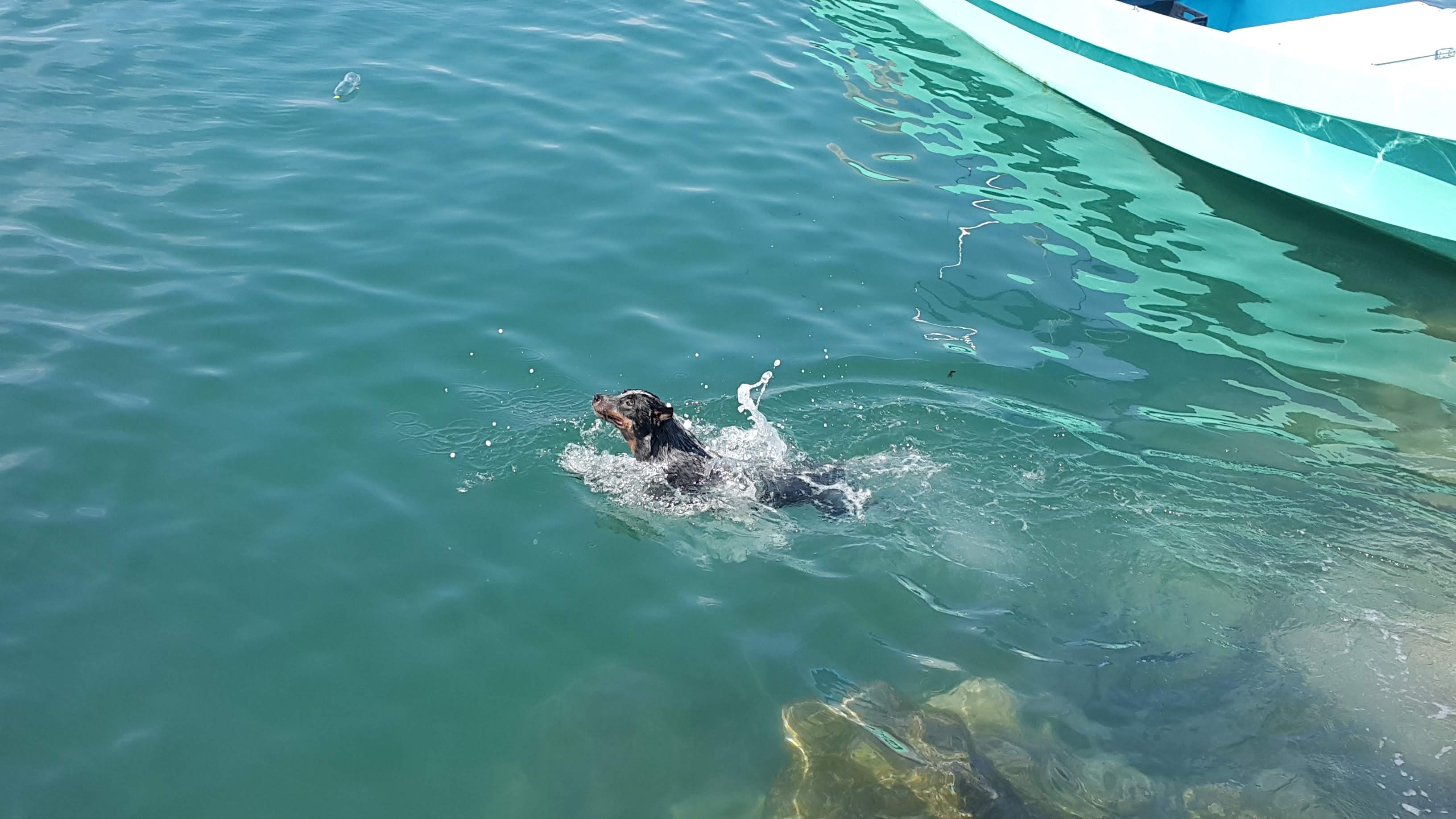 Del Puerto Retaurante image 9