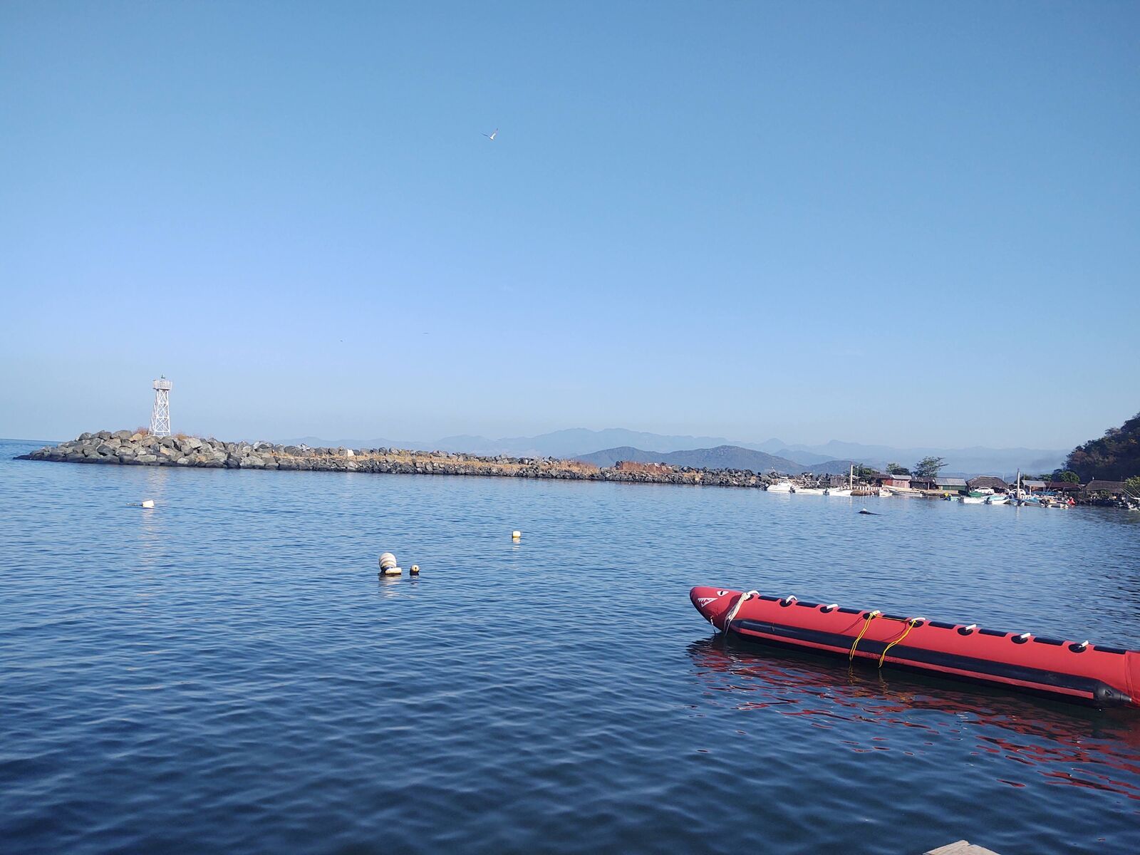 Del Puerto Retaurante image 10