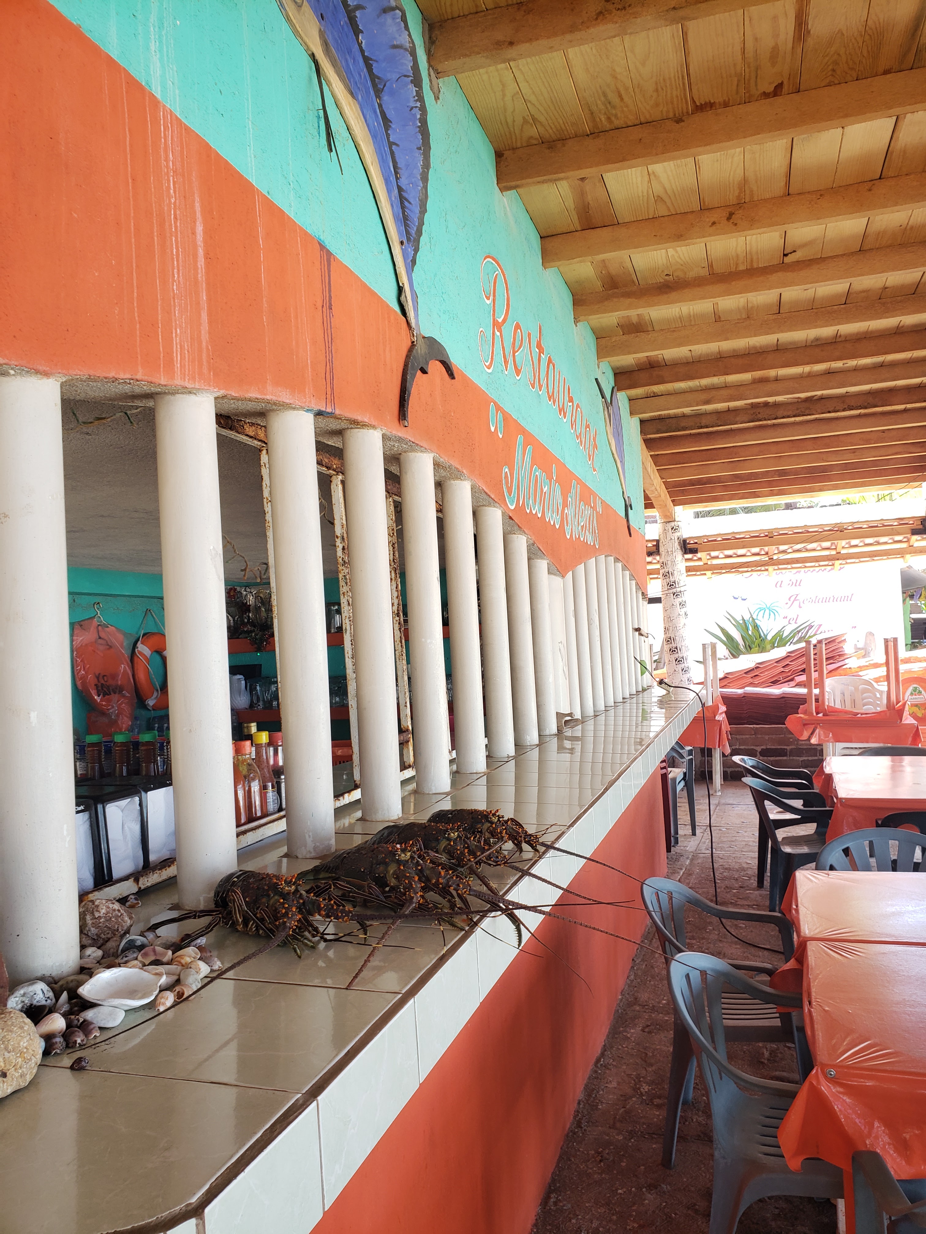 Mario Alexis image 1