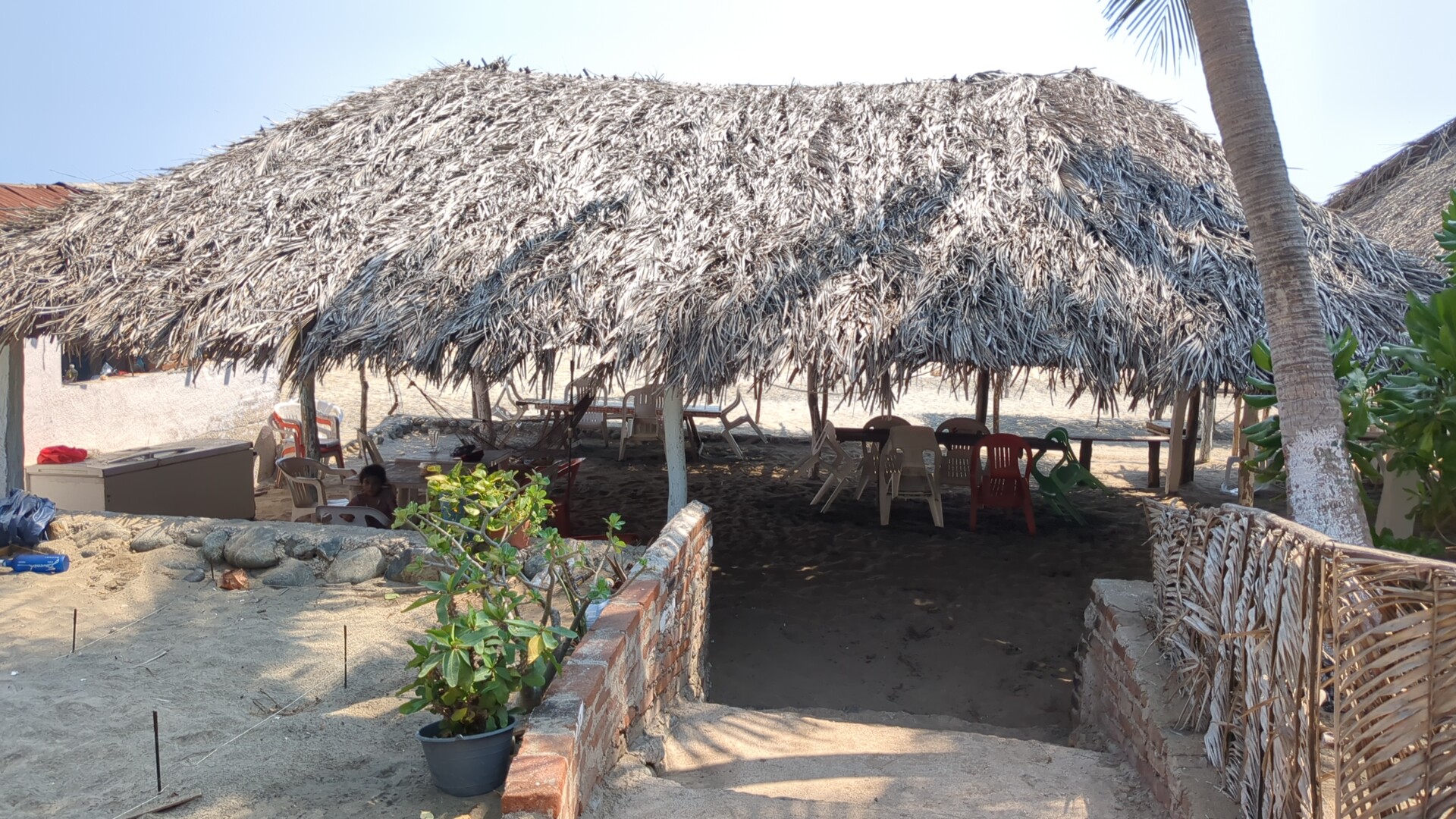 Restaurante Las palmas doña braulia y José Karlos image 1