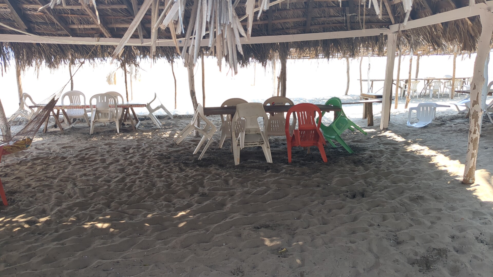 Restaurante Las palmas doña braulia y José Karlos image 2