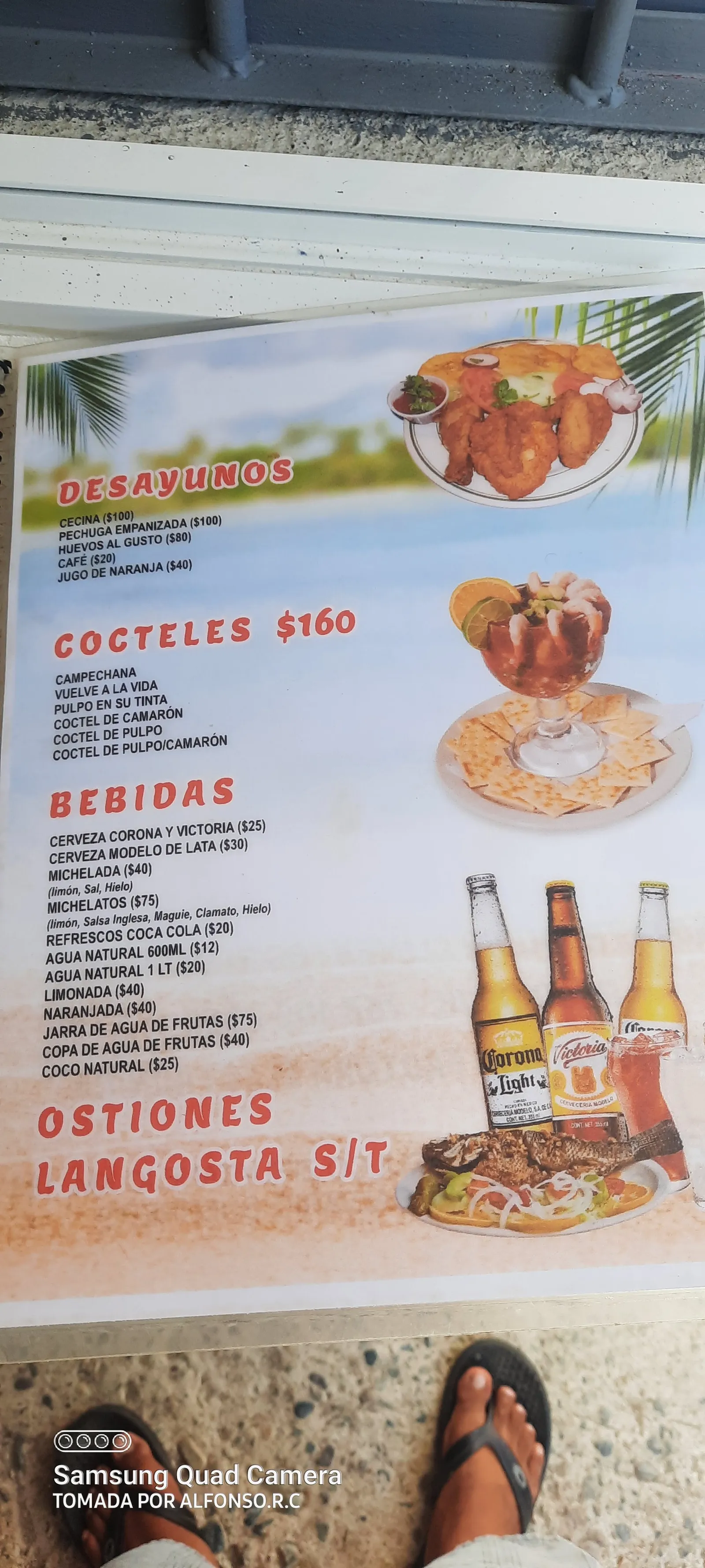 Caribe 183 image 6