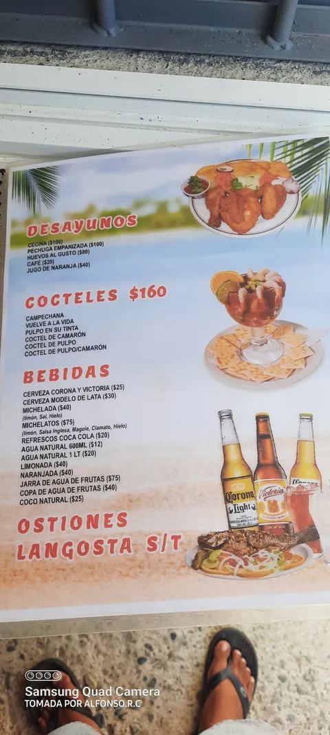 Caribe 183 image 6