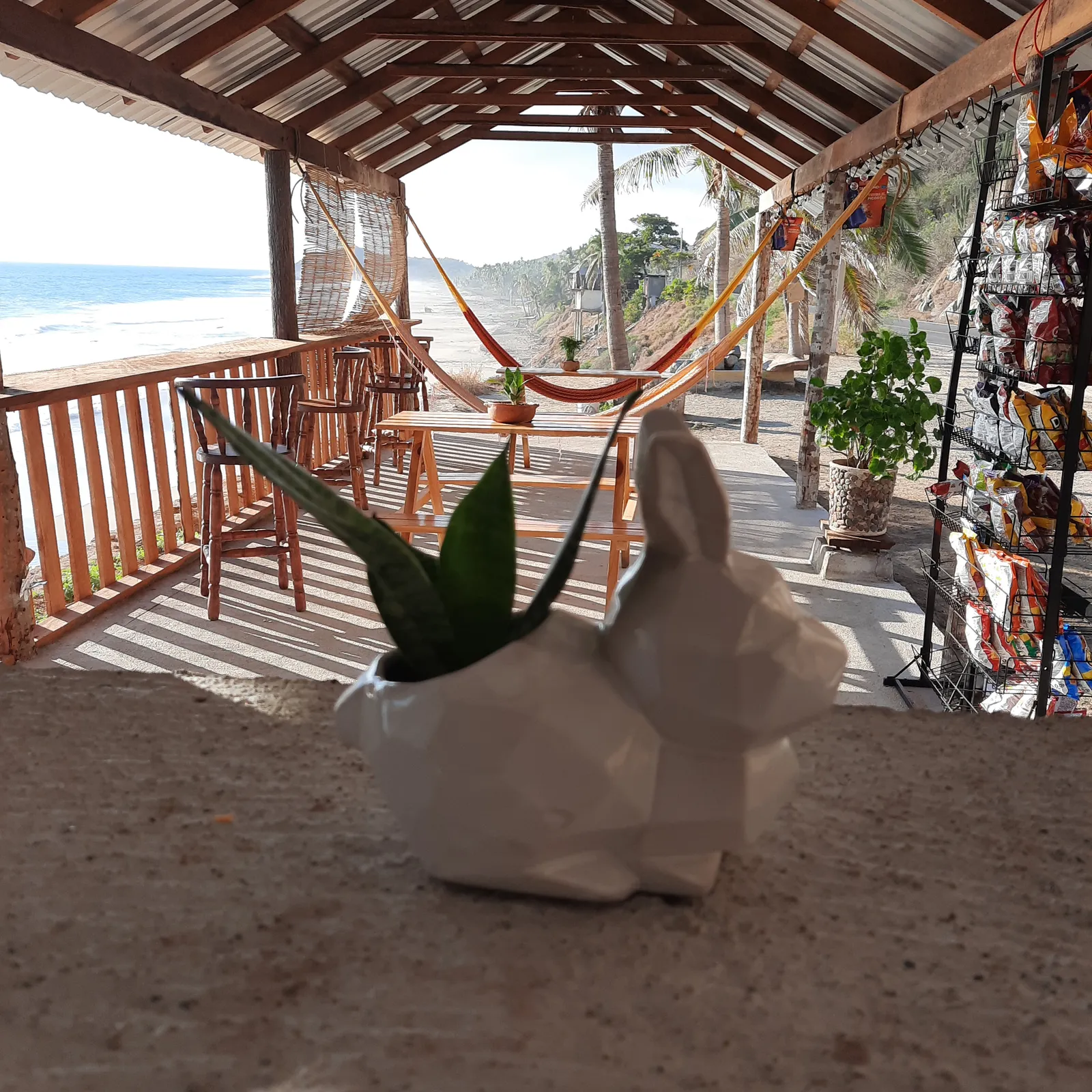 Caribe 183 image 7