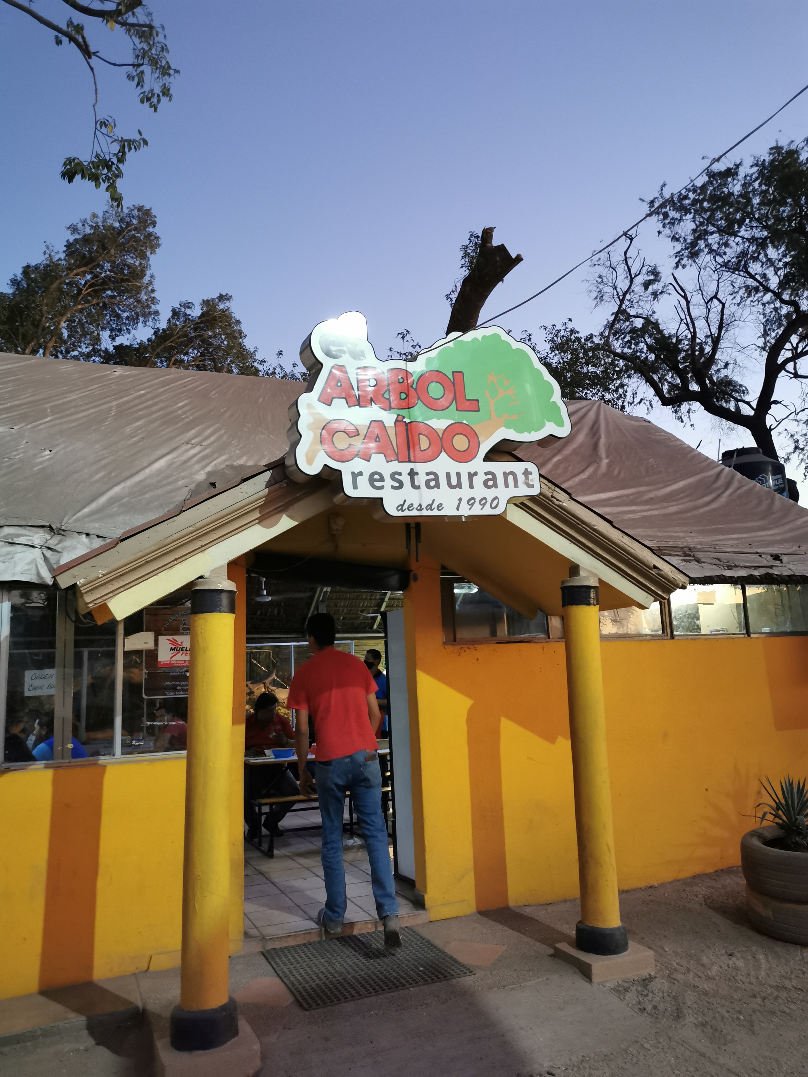 El Arbol Caido image 1