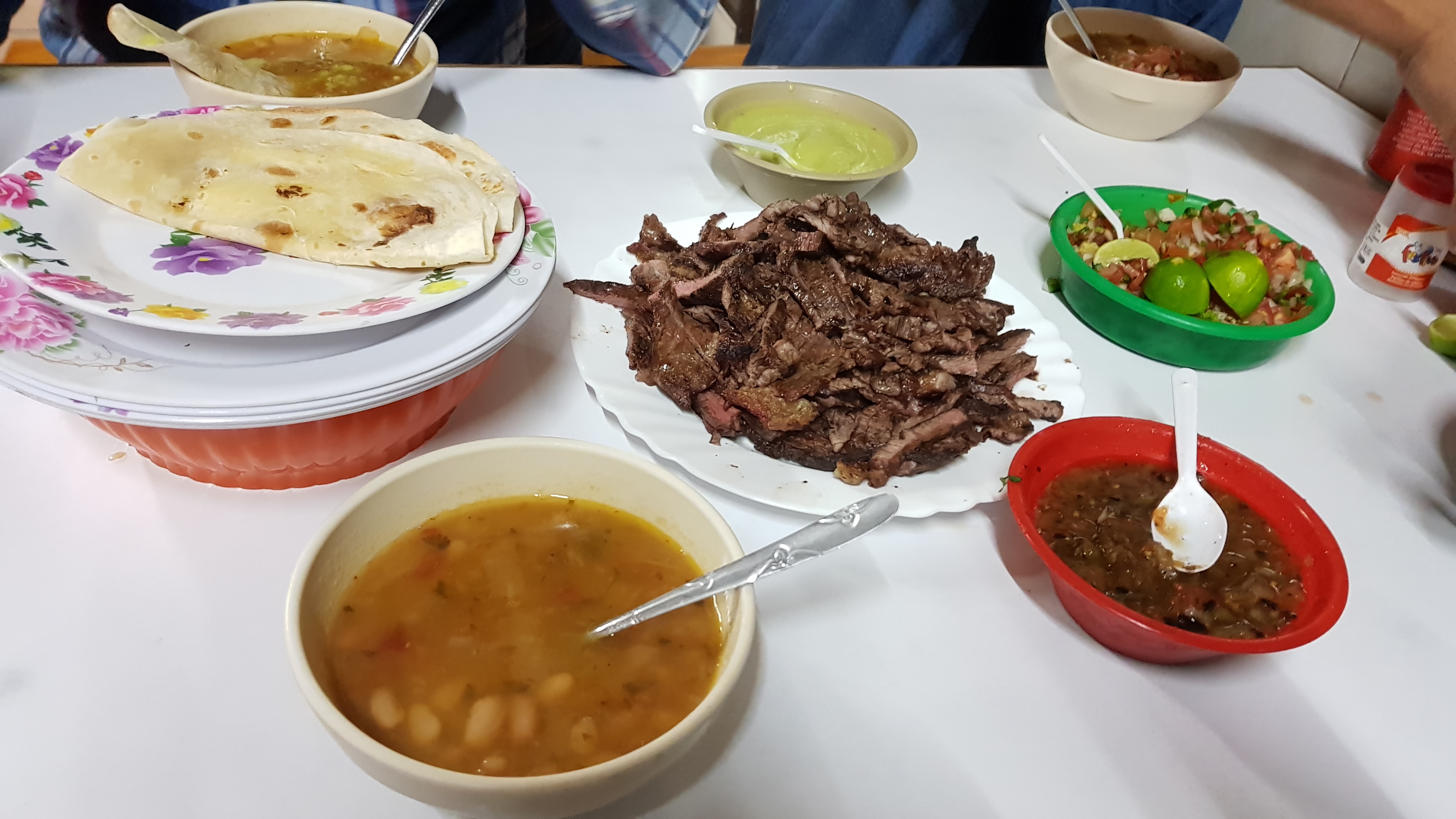 El Arbol Caido image 2