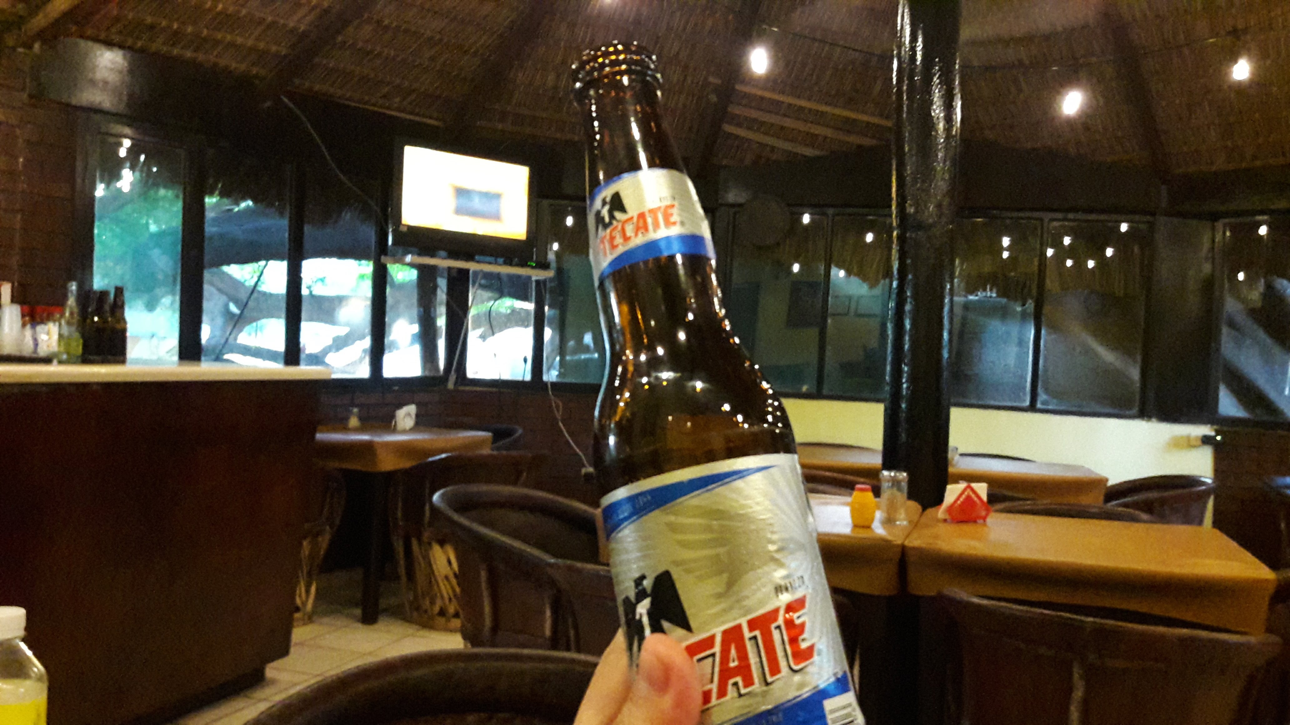 El Arbol Caido image 8